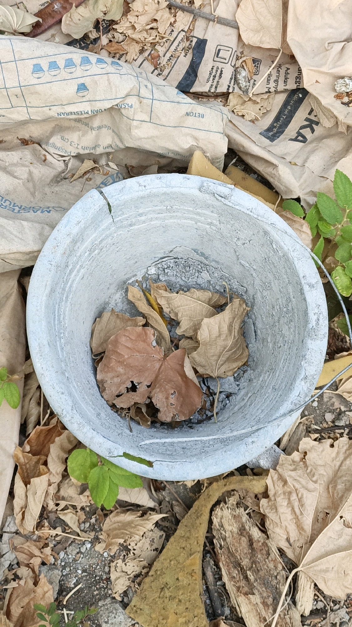 A grey bucket is positioned centrally in the frame, filled with dry, fallen leaves of varying brown and reddish hues. The bucket is worn, with chipped paint revealing a darker interior. Surrounding the bucket is a scattering of dry leaves, twigs, and some green foliage. In the background, crumpled paper bags with Indonesian text, likely construction-related given the words "BETON" and "MASTERFORMUL," are visible, partially obscuring the ground. The scene appears to be outdoors, in an urban environment within Cikal, Indonesia, suggesting a construction site or a debris-strewn area.