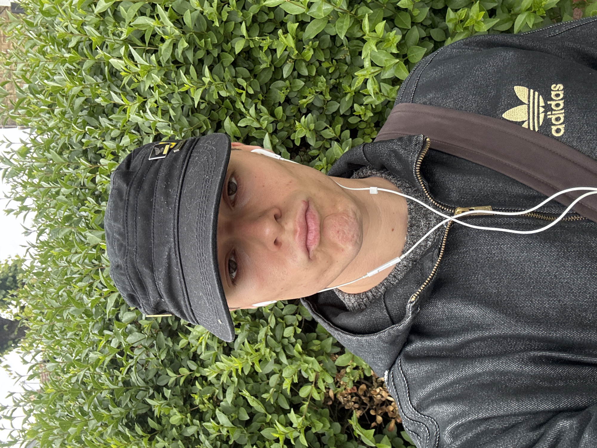 The image is a close-up, slightly rotated portrait of a person wearing a black cap, a grey sweater, and a dark denim jacket with a gold Adidas logo on the shoulder. They are wearing white earphones. The person is positioned in front of a dense green hedge. The location details are not discernible from the image, thus it is not possible to confirm the city of London, United Kingdom.