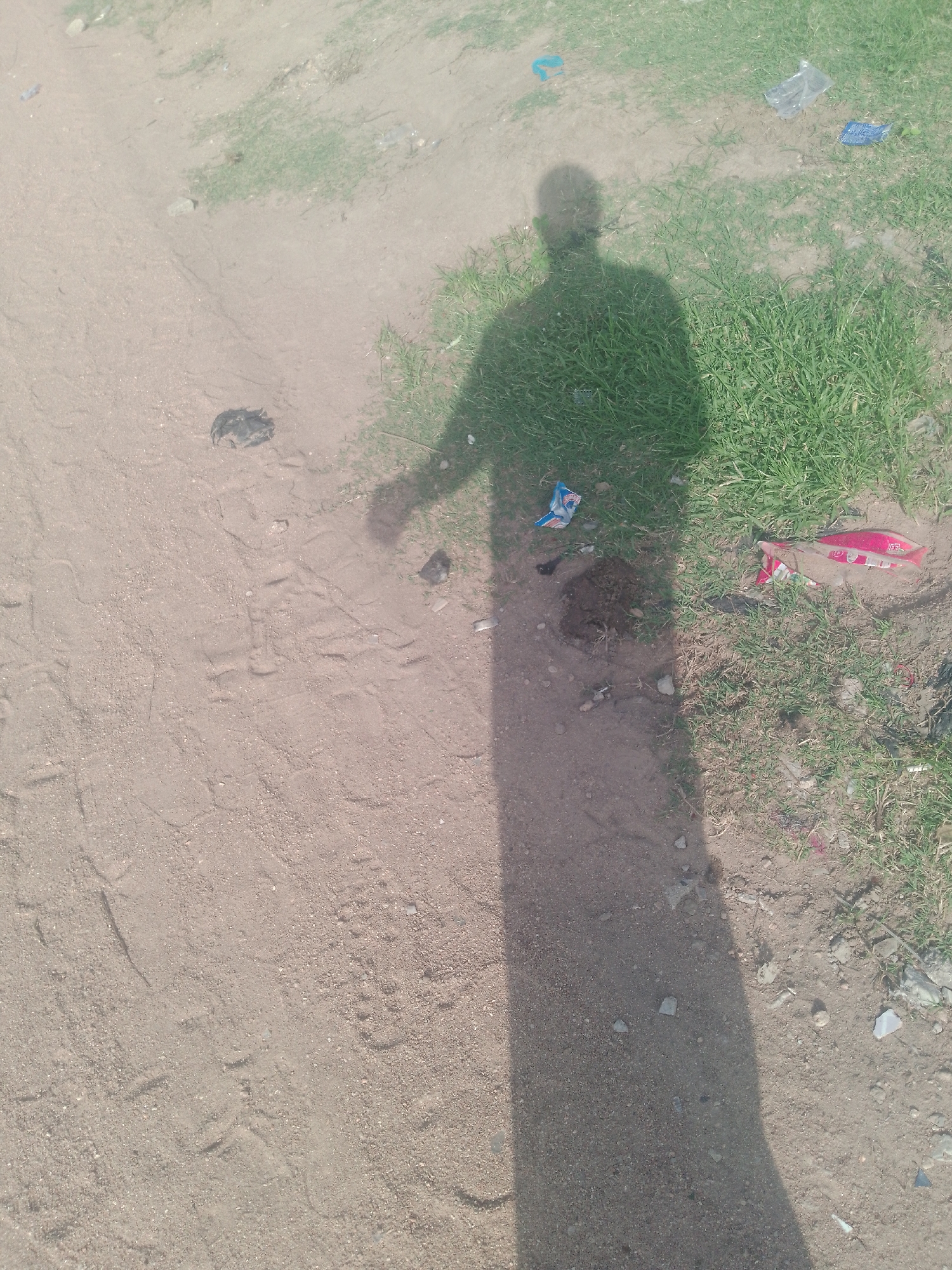 In Jalingo, Nigeria, a shadow of a person stands on a dirt path next to a grassy area. The shadow's head is clearly visible, and it extends down to the ground, cast by the bright sun. The path is sandy and strewn with small stones and debris. In the grassy area, there is visible litter, including plastic wrappers. Near the edge of the path, a small, dark object, possibly animal droppings, is visible. Footprints are imprinted in the sand. The overall environment appears to be an outdoor, possibly semi-rural or undeveloped urban area.