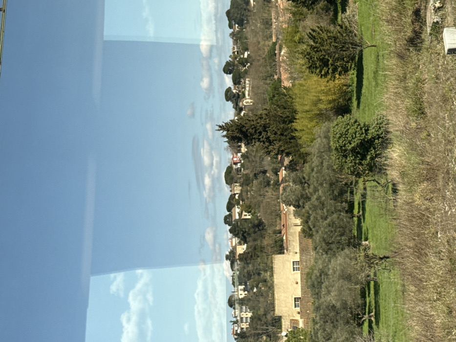 This image presents a panoramic landscape view, captured through a window, indicated by distinct reflections in the upper left quadrant, on a sunny day in Carcassonne, France. The sky is clear blue with scattered white cumulus clouds.

The immediate foreground features an area of dry, light-brown herbaceous vegetation and sparse weeds, with a partially visible grey rectangular concrete object situated at the lower right edge of the frame.

The midground transitions into a vibrant green grassy field containing an olive grove. Multiple mature olive trees with gnarled trunks and dense, silvery-green foliage are distributed across this field. Behind the grove, a two-story building with light-colored, possibly stucco, walls and a terracotta-tiled roof is visible, featuring at least two rectangular windows with dark frames or grilles. To the right of this building, a cluster of tall, slender, bright green plants resembling bamboo grows amidst other mixed trees. A tall, dark green cypress tree stands prominently towards the mid-right.

The background depicts a residential hillside densely covered with a variety of trees and shrubs, predominantly evergreens. Numerous light-colored residential structures, many with red-tiled roofs, are interspersed throughout the vegetation. A specific white building with an arched opening or window is discernible further up the hill.

No individuals, animals, or specific activities are observable within the scene. The landscape portrays a vegetated, residential area, characteristic of the city's surroundings or outskirts.