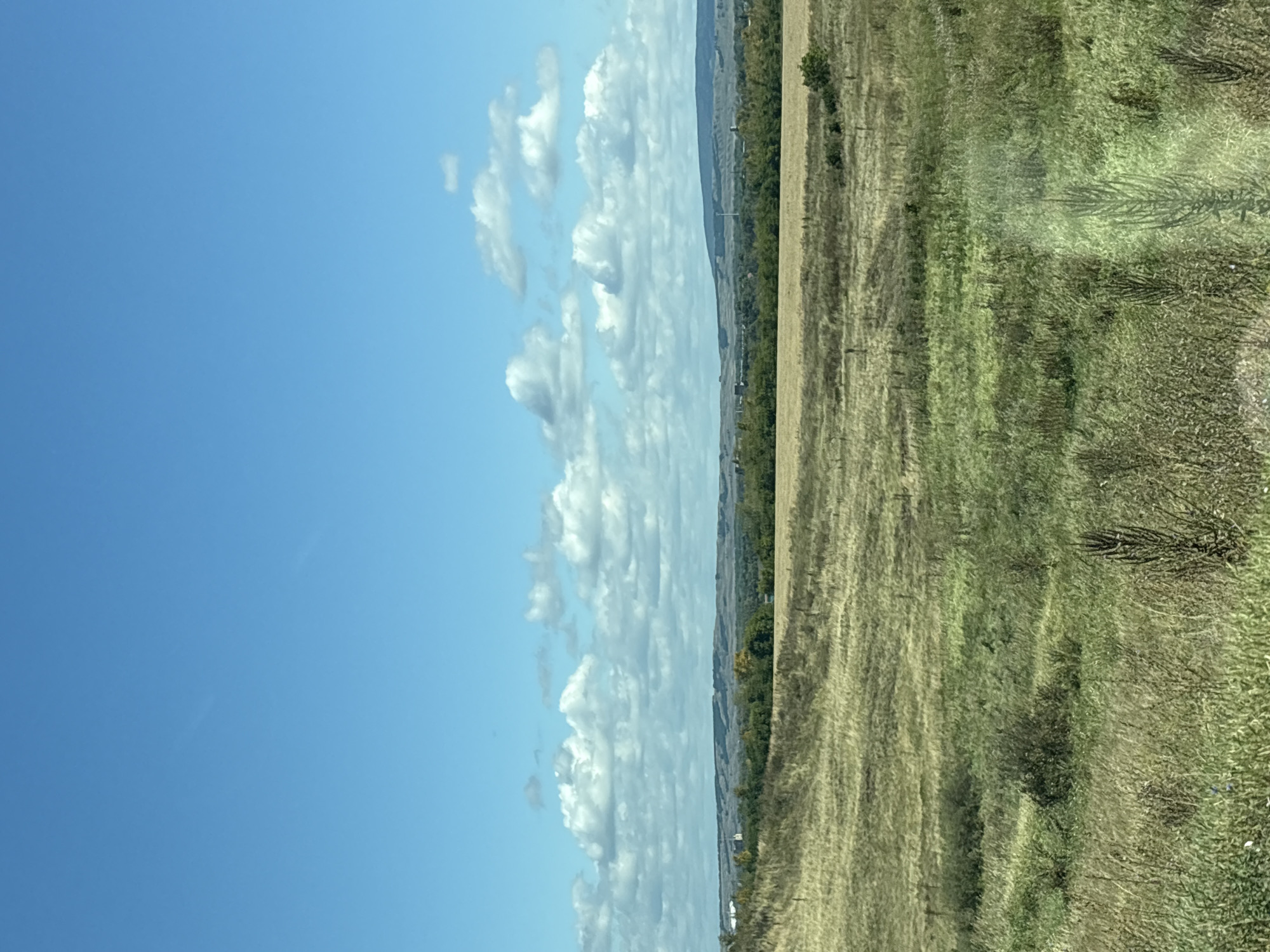 The image shows a landscape under a blue sky with scattered white clouds. In the foreground, there is a dry, grassy field with some patches of green. The middle ground features a treeline with a variety of deciduous trees, some of which appear to be in autumn colors. Beyond the trees, a rolling hilly landscape can be seen, with some structures that appear to be buildings and possibly industrial elements. The overall impression is of a rural or semi-rural setting. The location is specified as the city of Karan, Russia.
