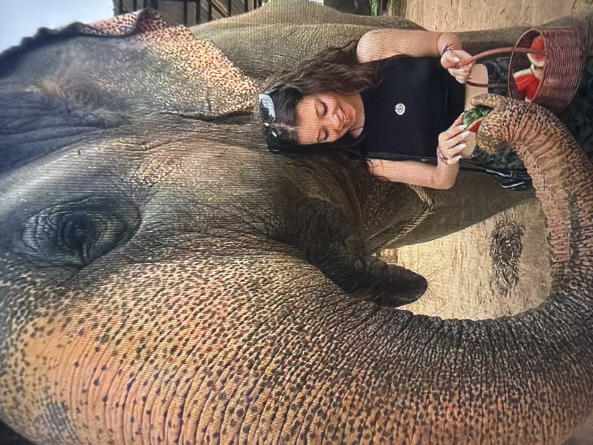 The image depicts an outdoor scene featuring an adult elephant and a young adult female. The elephant, occupying the left and center of the frame, displays heavily wrinkled, greyish-brown skin with distinct lighter, reddish-brown patches, particularly visible on its trunk and around its eye. Its large eye is partially open, and the texture of its ear is visible in the upper right background. The young woman, positioned to the right of the elephant, has long, dark, wavy hair and is wearing a black sleeveless top with a round, light-colored pendant necklace. Sunglasses rest on top of her head. She is looking down and appears to be smiling. Her left hand holds a small, reddish-brown woven basket containing multiple pieces of cut watermelon, while her right hand is extended, holding a piece of watermelon. The elephant's trunk is curled and extended towards the woman's right hand, grasping the watermelon piece offered to it. The ground surface is an earthy, light brown color, and in the upper right background, structural elements of what appears to be a shelter or enclosure are partially visible. The scene takes place in Shumen, Bulgaria.
