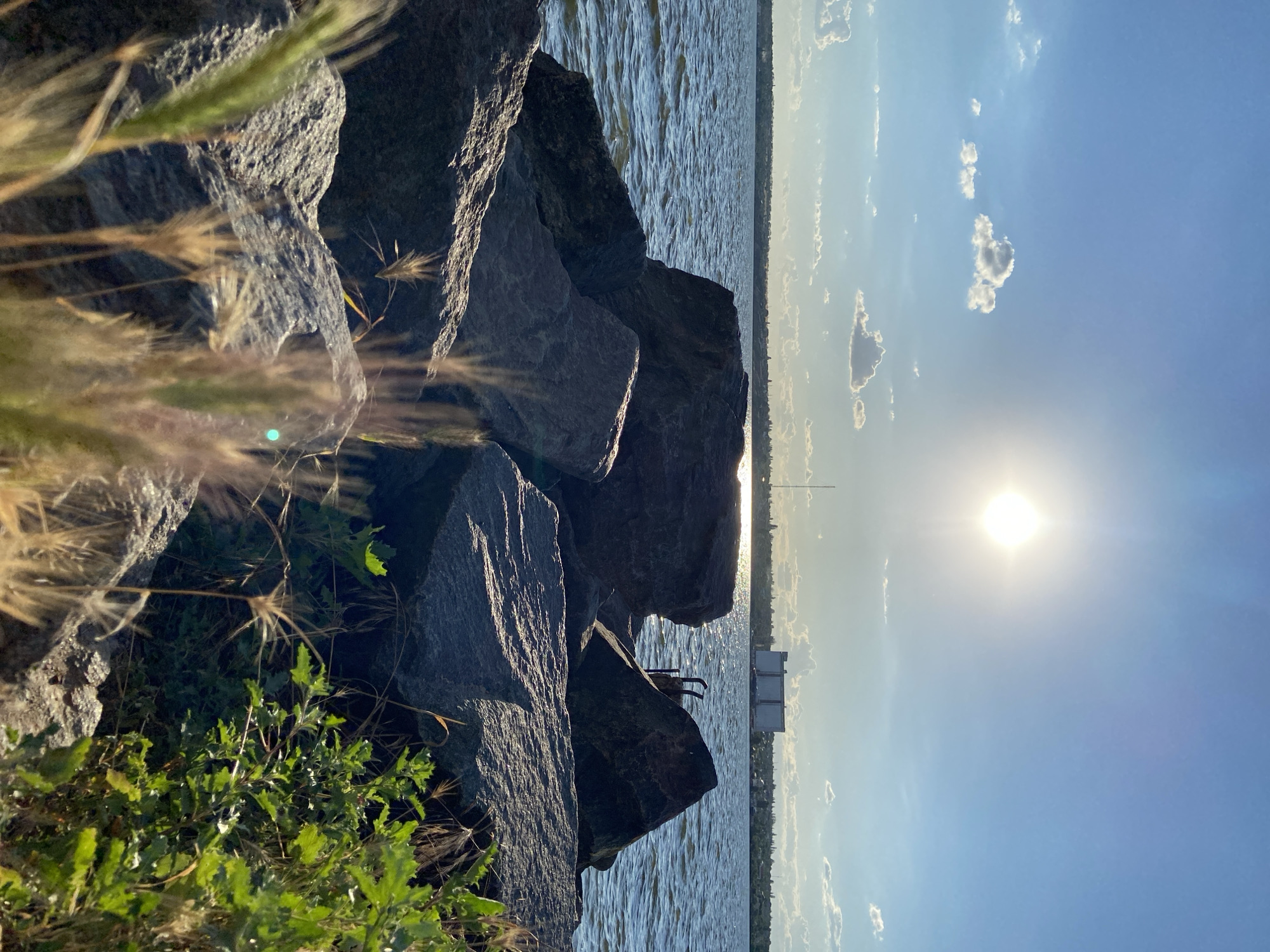 This is a photograph taken from a low angle, looking across a body of water towards a distant shore. In the foreground, a pile of large, dark rocks is visible, with some dry grass and green plants growing between them. The water is choppy and reflects the bright sunlight. In the background, a long, low structure, possibly a factory or warehouse, stands on the opposite bank, with a tall antenna or tower next to it. The sky is a clear blue with a few scattered white clouds, and the sun is high in the sky, casting a bright glare on the water. The overall impression is one of a bright, sunny day at a waterfront location.