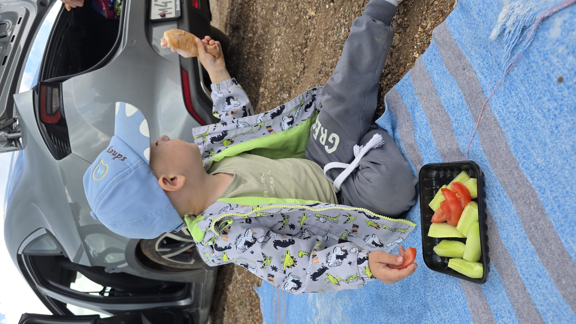 A young boy wearing a blue cap, a gray jacket with a dinosaur print and green lining, and gray sweatpants sits on a blue and gray striped blanket. He is holding a piece of food in his right hand and reaching for a slice of tomato on a black plastic tray containing sliced cucumbers and tomatoes. The tray is positioned on the blanket in front of him. In the background, the open trunk of a silver car is visible, with the rear door of the car also open. The ground appears to be gravelly. The scene is set outdoors, in a location that appears to be in or near the city of Дарьино, Russia.