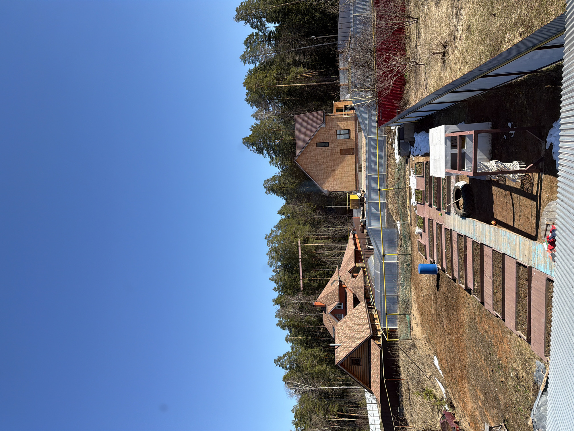 The image depicts a residential area in Chaikovsky, Russia. Three houses with pitched roofs are visible, nestled among pine trees. A garden area with raised beds is present, along with various structures including a partially constructed greenhouse. The sky is clear and blue. The season appears to be early spring, based on the presence of melting snow.