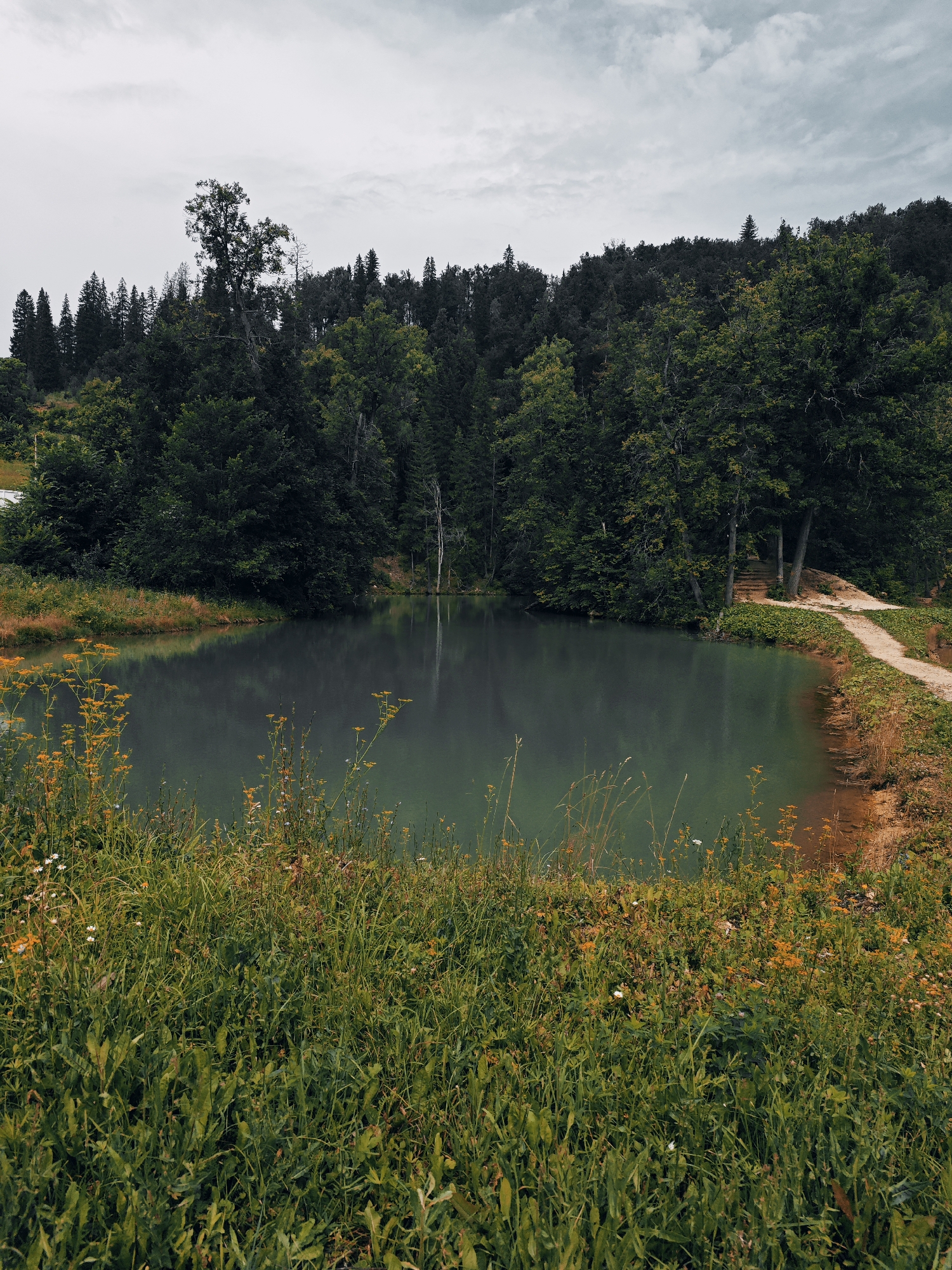 The image depicts a serene natural landscape. In the foreground, lush green grass and wildflowers, including yellow and white blossoms, grow along the edge of a calm, dark green body of water. The water reflects the overcast sky and the dense forest that forms the background. The forest is composed of various trees, some with deep green foliage and others with lighter green and yellow hues, suggesting a mix of coniferous and deciduous trees. A narrow, sandy path winds along the right bank of the water, leading towards a small wooden staircase or steps ascending a slight incline within the trees. The sky is cloudy and grey, contributing to the subdued atmosphere of the scene. There are no people or animals visible in the image. This landscape is situated in the area of Krasny Klyuch, Russia.