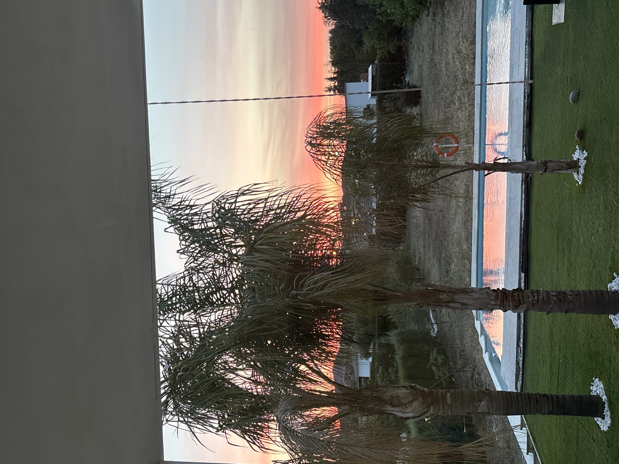 The image shows a view from what appears to be a balcony or window, looking out over a garden and pool area, likely in Urbanización Encinares De Alcolea, Spain, based on the prompt. A sunset with orange, pink, and white hues is visible in the sky. Two palm trees are in the foreground, partially obscuring the view. A rectangular pool with white coping is seen to the right. A life preserver is visible near the pool. Green grass surrounds the pool. Further in the background, trees and a white structure are visible. A thin, dark line stretches across the image, possibly an electrical wire.