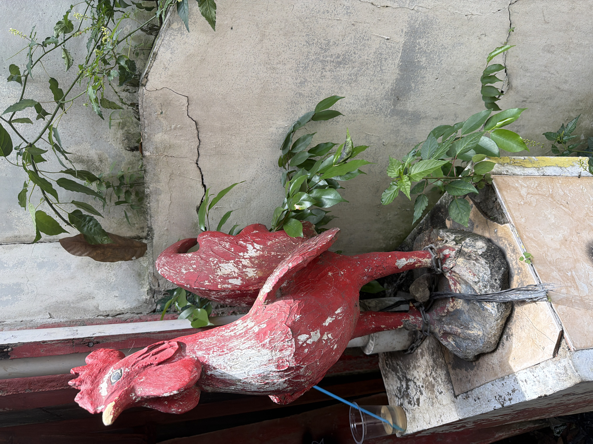 A red, weathered wooden rooster figure is affixed to a weathered structure, possibly a ledge or shelf, in an outdoor setting. The figure is bound with wire to a dark, irregular object, possibly a stone or part of the structure. Green plants grow near the structure. The background consists of a weathered, cracked wall. The location is South Jakarta, Indonesia.