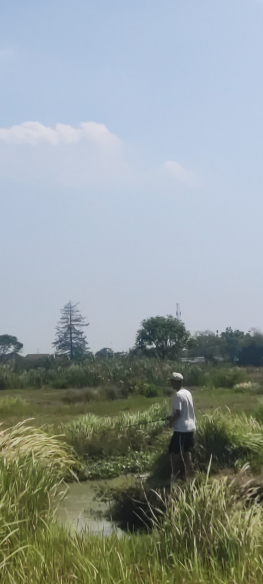A person is fishing in a canal with tall grass on either side, in Gebang, Indonesia. The person, wearing a white shirt and a cap, is standing on the right side of the canal and holding a fishing rod. The canal is shallow and filled with green water and some floating plants. The background shows lush green vegetation, trees, and buildings. The sky is clear with a few clouds.