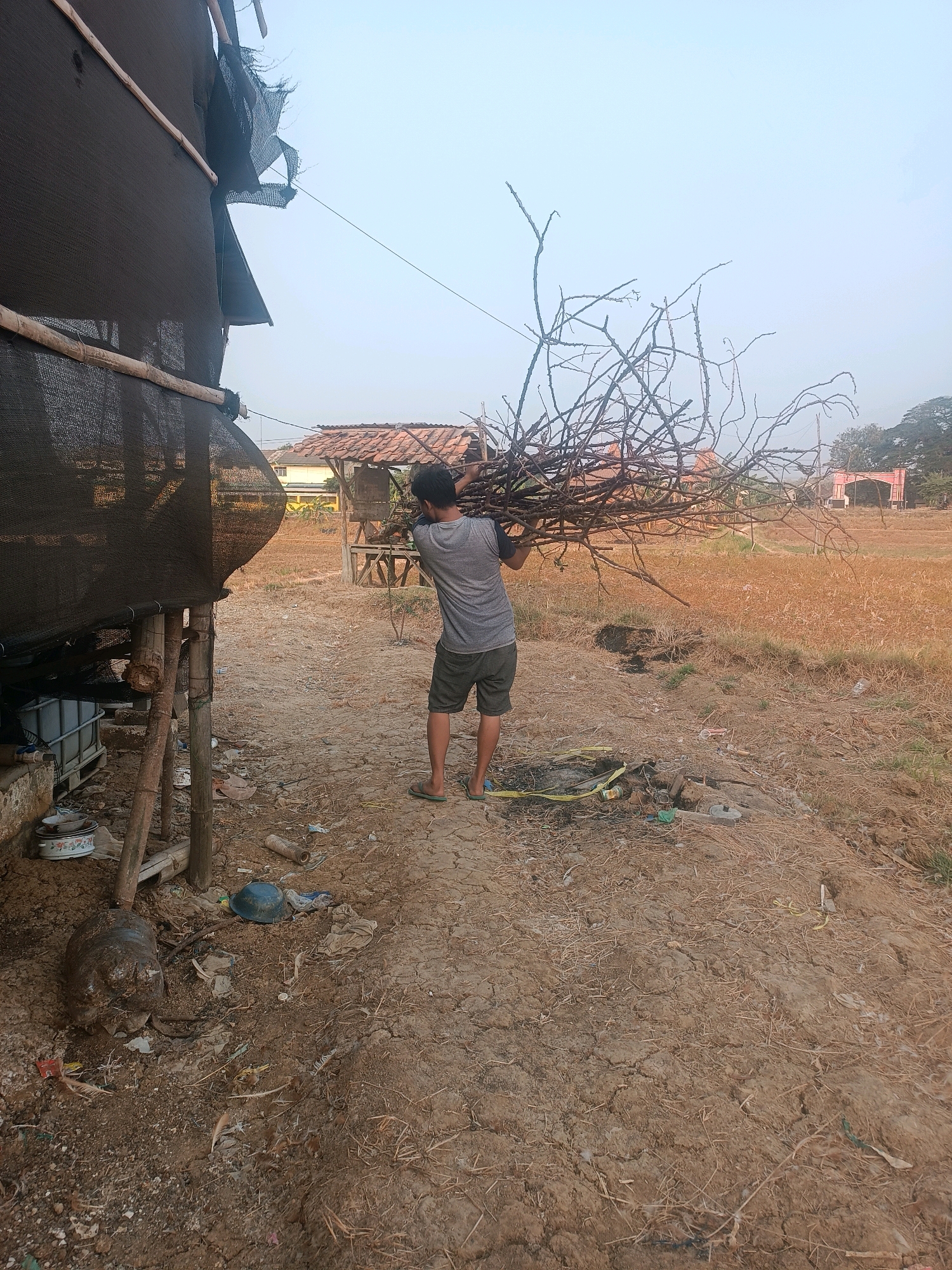 A man is carrying a large bundle of dry branches on his shoulders, walking away from the viewer in a rural outdoor setting. He is wearing a grey t-shirt and dark shorts with green flip-flops. The environment appears to be dry and dusty, with cracked earth visible on the ground. To the left of the man, there is a structure covered with black netting, supported by wooden poles. Below the netting, there are large water tanks. Scattered on the ground are various objects including a blue helmet, a roll of string, and some debris. In the background, there are some simple buildings with tiled roofs and dry, sparse vegetation. The sky is overcast and pale. The scene suggests a location in or near Tambakromo, Indonesia, likely a semi-arid or dry season environment.