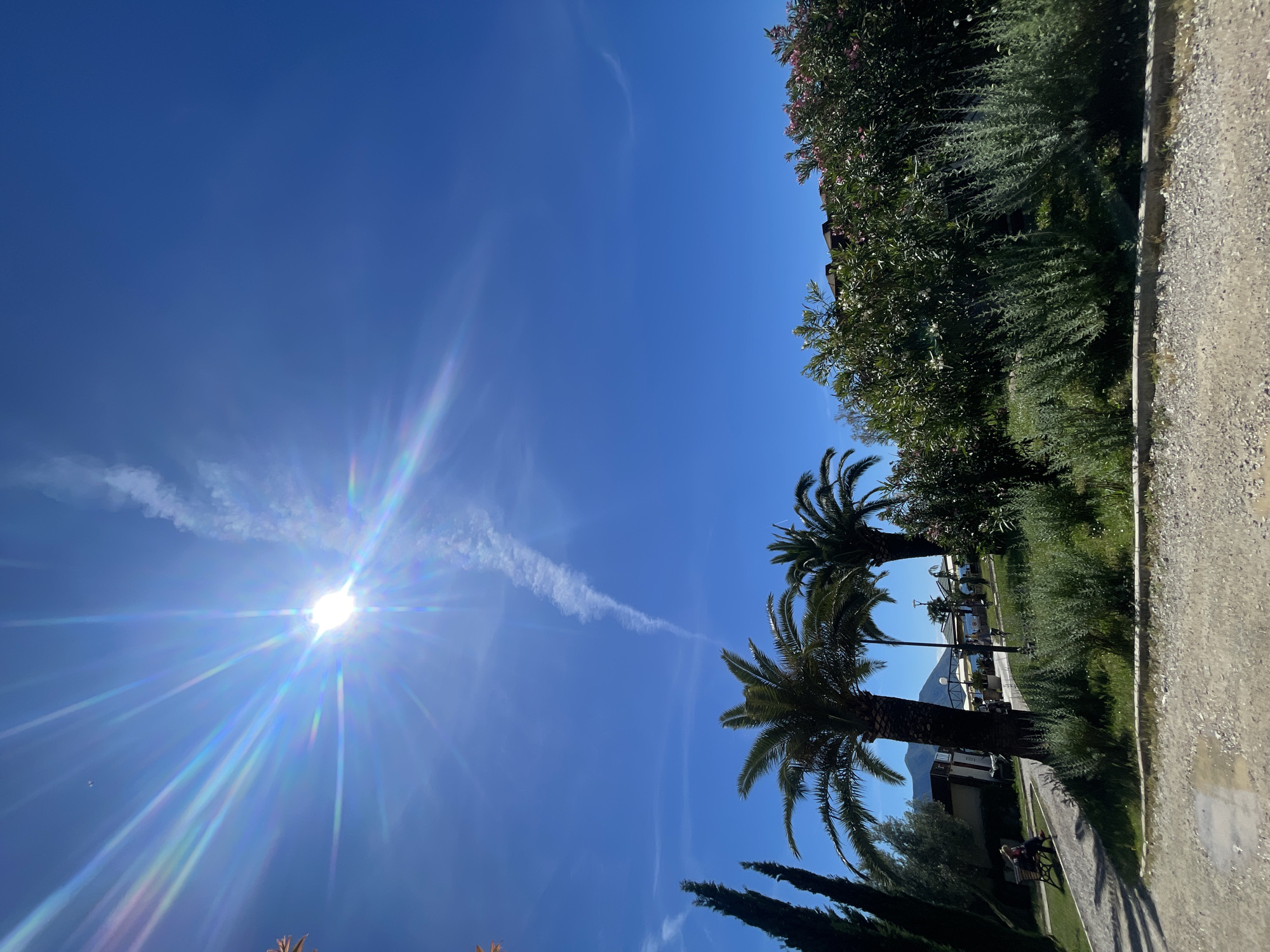 The image shows a sunny day with clear blue skies, possibly in a tropical or Mediterranean location. There's a bright sun with prominent rays spreading across the sky, and a contrail of an aircraft cuts through the blue. Palm trees are visible on the right side of the image, along with various green plants and shrubbery. In the background, a paved walkway or road is visible, possibly a sidewalk. The location is Unknown, Unknown. No people can be identified.