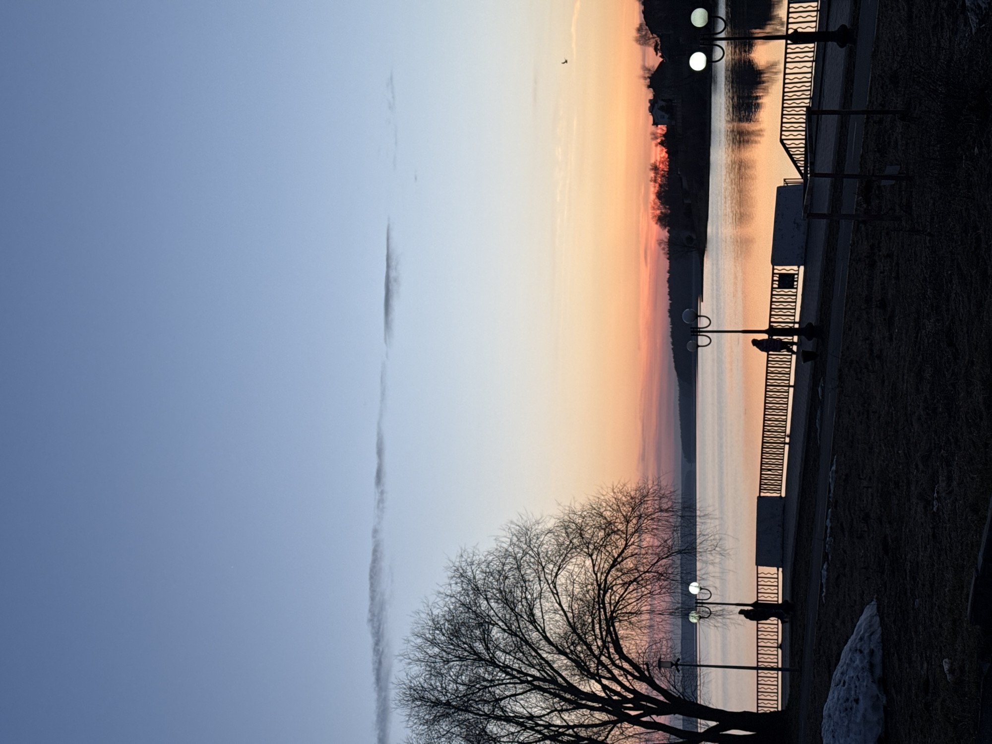 This image, correctly oriented, depicts a tranquil waterfront scene during either sunset or sunrise in Votkinsk, Russia. The sky, dominating the upper portion, graduates from a clear, light blue in the upper left to warm orange and pink hues near the horizon line. A faint, elongated cloud streak is visible in the blue sky, and a small bird or distant object is silhouetted against the lighter sky near the top right.
A large body of water, likely the Votkinsk Reservoir, reflects the soft colors of the sky and the bright glow of artificial lights, creating a shimmering surface. Along the water's edge runs a promenade or embankment, lined with a dark, decorative metal railing. Several street lamps, each with two spherical, glowing white lights, illuminate parts of the pathway and cast reflections on the water.
In the foreground on the left, a large deciduous tree, its intricate network of bare branches silhouetted against the vibrant sky, suggests a late autumn, winter, or early spring setting. On the promenade, two silhouetted figures are visible: one appears to be walking, and another stands near a lamppost, enjoying the ambiance. To the right of the promenade, an area of ground or grass is visible, with some lighter patches that could be snow or light-colored rocks. The distant shore across the water forms a dark silhouette against the colorful horizon. The overall scene conveys a sense of peacefulness and natural beauty at twilight. No text is visible in the image.
