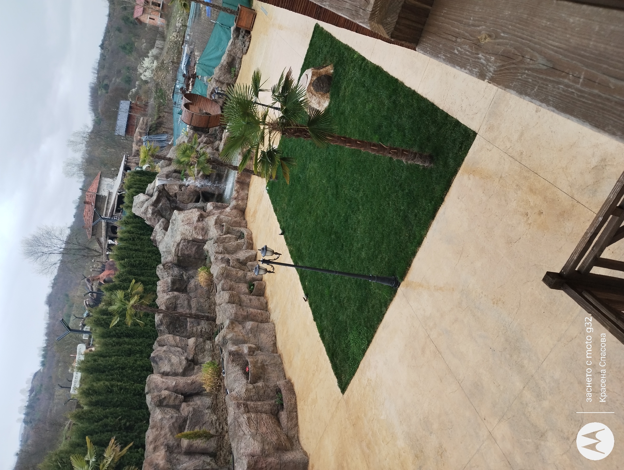 The image depicts an outdoor scene with landscaping. A palm tree stands within a square patch of green grass. The area around the grass is paved with light-colored stone or concrete. To the left, there is a rock structure with greenery and small trees. In the background, there are buildings and trees, possibly indicating a residential area. The sky is overcast. The image was taken in Baldevo, Bulgaria.