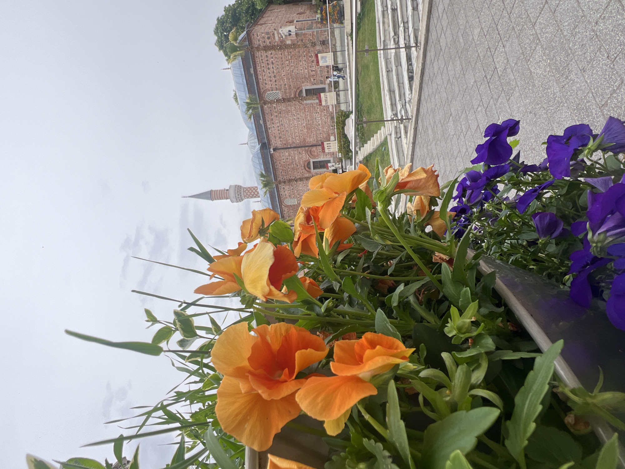 The image shows a close-up view of orange and purple flowers in a planter, with a building and a minaret in the background. The building is the Dzhumaya Mosque located in Plovdiv, Bulgaria. People are walking behind the mosque. The day is cloudy.