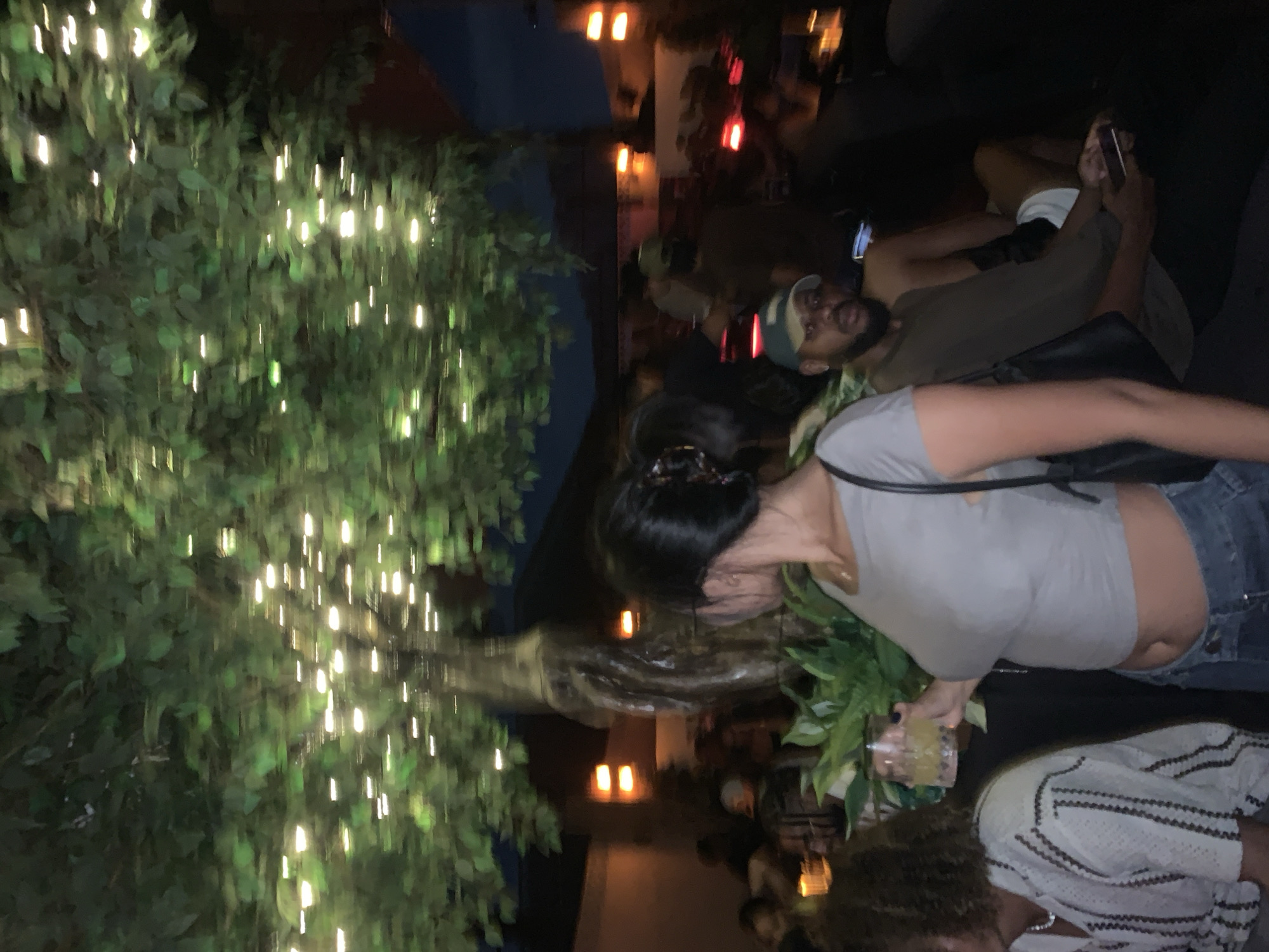 The image depicts a nighttime social gathering, likely at an outdoor or semi-outdoor venue in North Kuta, Indonesia. The scene is illuminated by numerous small, bright fairy lights integrated into lush green foliage, creating a warm and inviting atmosphere. Additional warm orange ambient lights are visible in the darker background.
Several individuals are present, with some in clearer focus than others. In the mid-ground, a man with a beard and a cap looks towards the camera, holding a mobile phone. He is wearing an olive-green shirt. To his right, a woman with dark hair pulled back is visible from the chest up, wearing a light-colored crop top and blue jeans, holding a drink in a clear glass with ice. In the bottom right foreground, a person with curly hair and a striped, textured top is partially visible. Other blurry figures populate the background, suggesting a lively social environment.
The overall impression is one of a relaxed evening event. The time of day is night, emphasized by the reliance on artificial lighting against a dark backdrop. There is no visible text in the image.