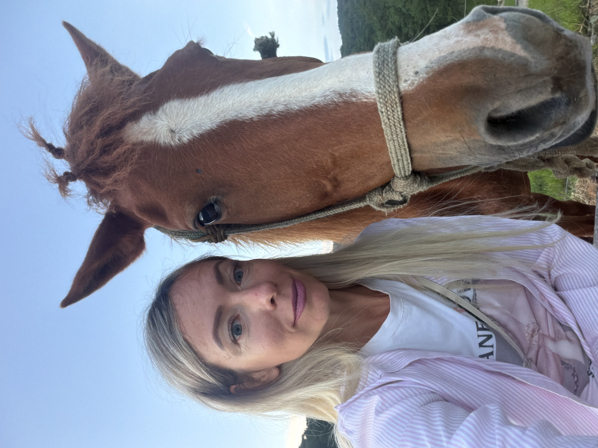 A low-angle, close-up selfie features a woman and a horse. The woman has blonde hair and is wearing a white t-shirt under a pink and white striped jacket. She has on light-colored lipstick and her eyes are blue. The horse is brown with a white blaze on its face and a white stripe down its forehead. It is wearing a rope halter. The background shows a bright sky, trees, and a hint of a wire fence. The lighting suggests it is daytime, likely late afternoon given the soft light. The overall mood is casual and friendly, with the woman smiling slightly at the camera. It appears to be an outdoor setting, possibly a farm or rural area. The image is taken in Da Lat, Vietnam.