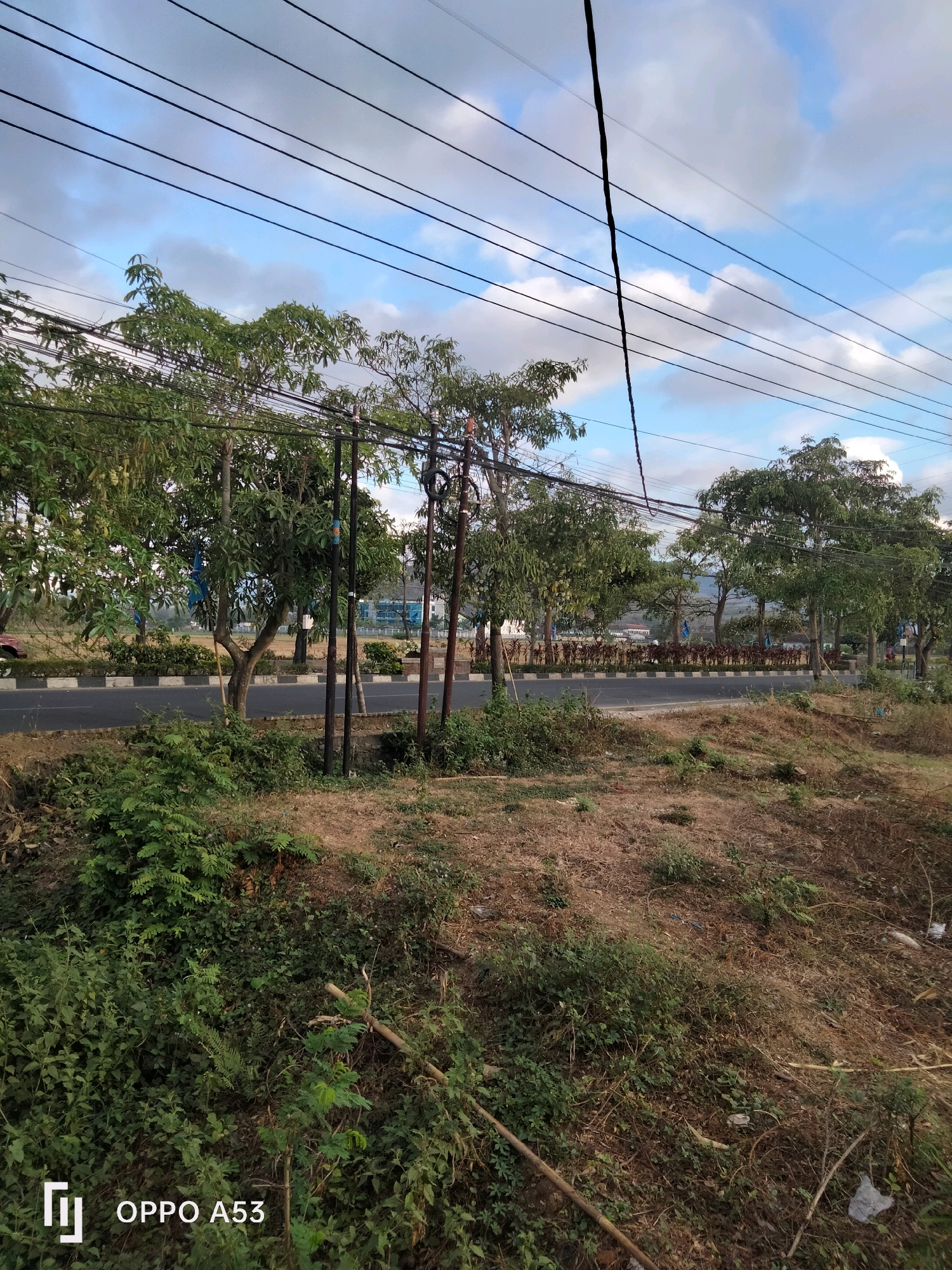 The image depicts a roadside scene in Trenggalek, Indonesia, characterized by a clear sky with scattered clouds and a backdrop of trees and vegetation. A paved road runs horizontally across the mid-ground, bordered by a concrete curb and a white-lined divider. On the left side of the road, there are several trees with lush green foliage. On the right side, a dry, grassy embankment is visible, with some scattered debris. Several utility poles and electrical wires are prominent, stretching across the upper portion of the image. In the distance, behind the trees, a modern building with a glass facade is partially visible, along with more trees and a glimpse of hills. The overall impression is of a semi-urban or suburban environment, likely captured during daylight hours. The bottom left corner of the image contains a watermark indicating "OPPO A53".
