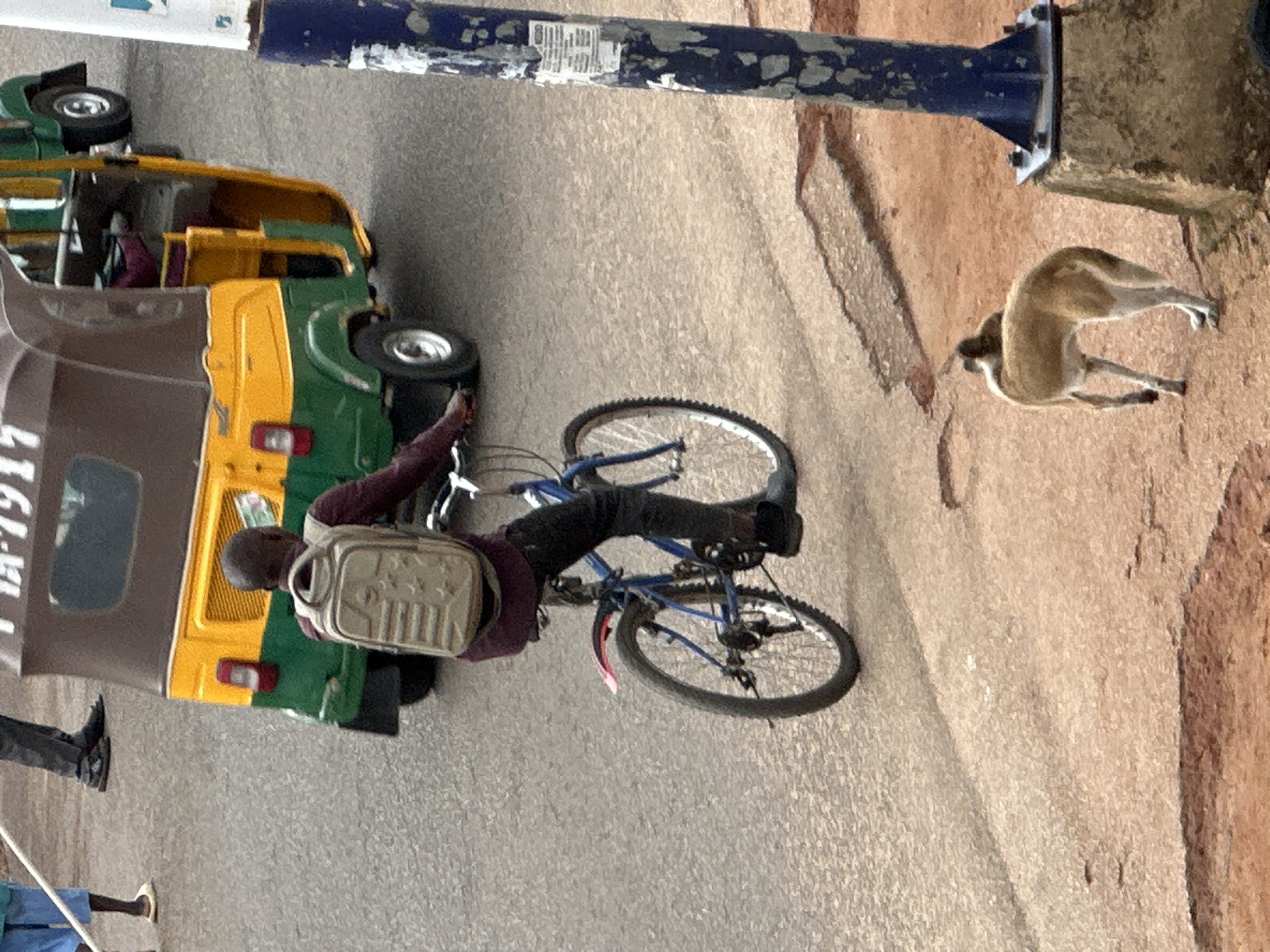 In Jos, Nigeria, a person wearing a burgundy shirt and a beige backpack rides a blue bicycle on an asphalt road. The person is positioned in the center-left of the frame. In the background, a yellow and green auto-rickshaw is parked. To the right, a dog with tan and white fur walks on a dirt path next to a blue and white utility pole. The overall scene depicts a typical street view in a Nigerian city.