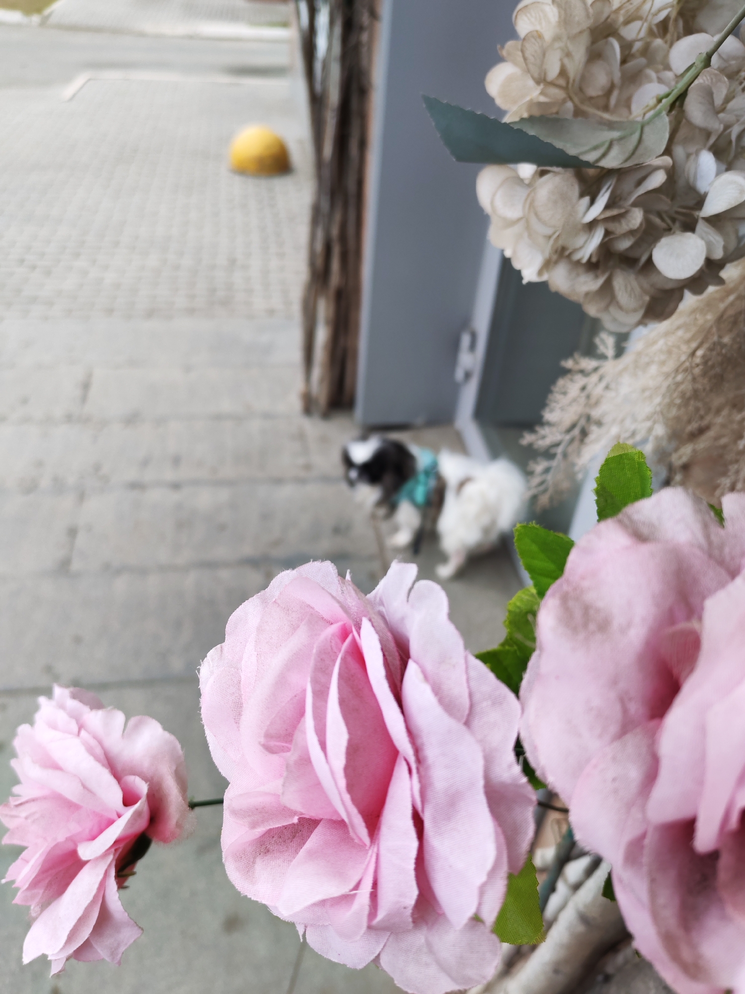 A medium shot captures a street scene, heavily blurred in the background, with a prominent foreground of pink artificial flowers. The backdrop includes a grey paved walkway, a yellow bollard, and a white and black dog wearing a blue harness, positioned on the right side of the frame. The city of Izhevsk, Russia, is not discernible from the provided image.