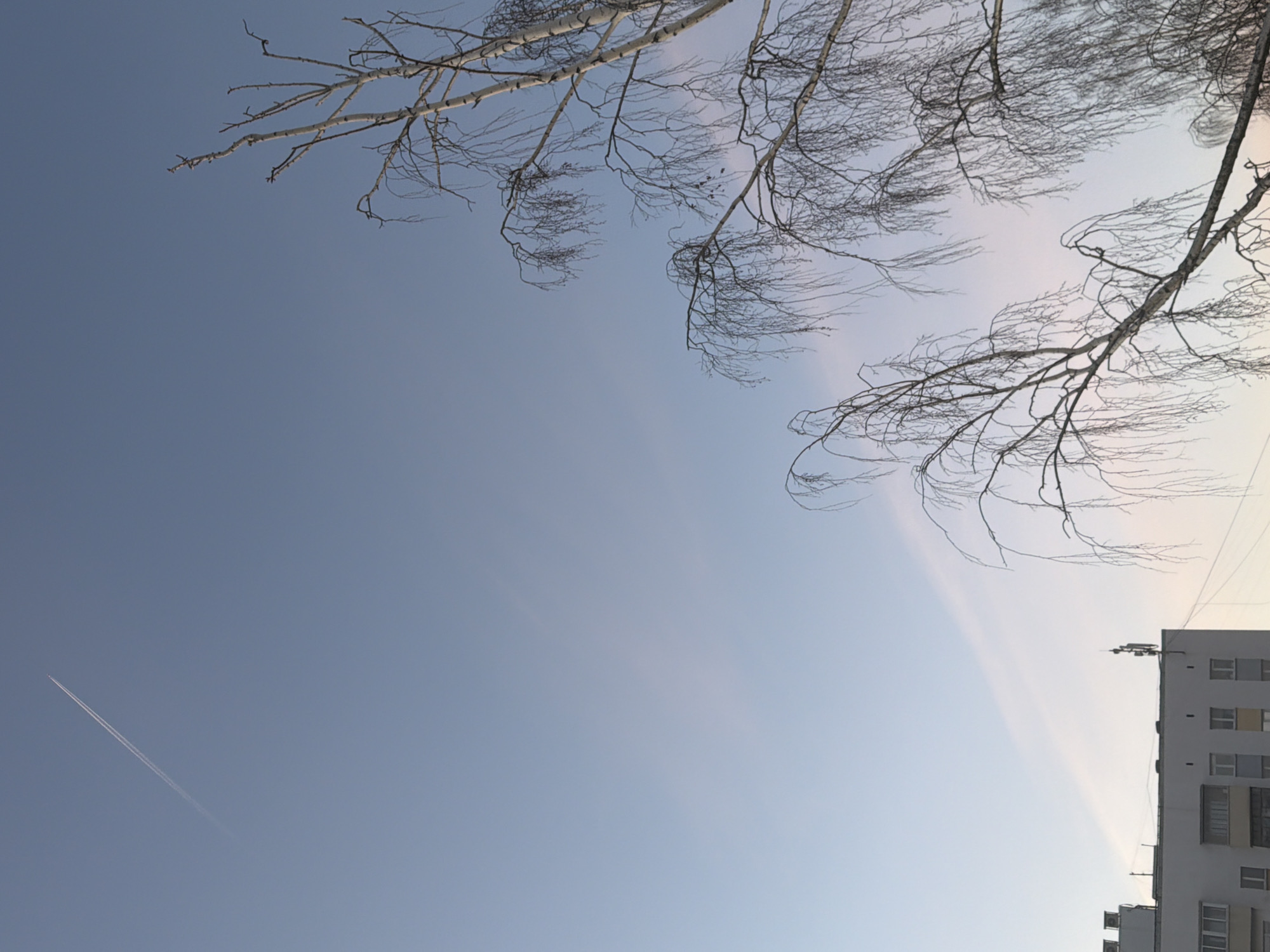 The image shows a pale blue sky with a vapor trail from a passing airplane. Bare tree branches are visible in the top right and upper left corners. The corner of a building, possibly an apartment block, is in the lower right corner. This could be somewhere in Naberezhnye Chelny, Russia, given the presence of apartment buildings, common in urban settings there. No people are visible. The scene appears to be a quiet moment on a clear day.