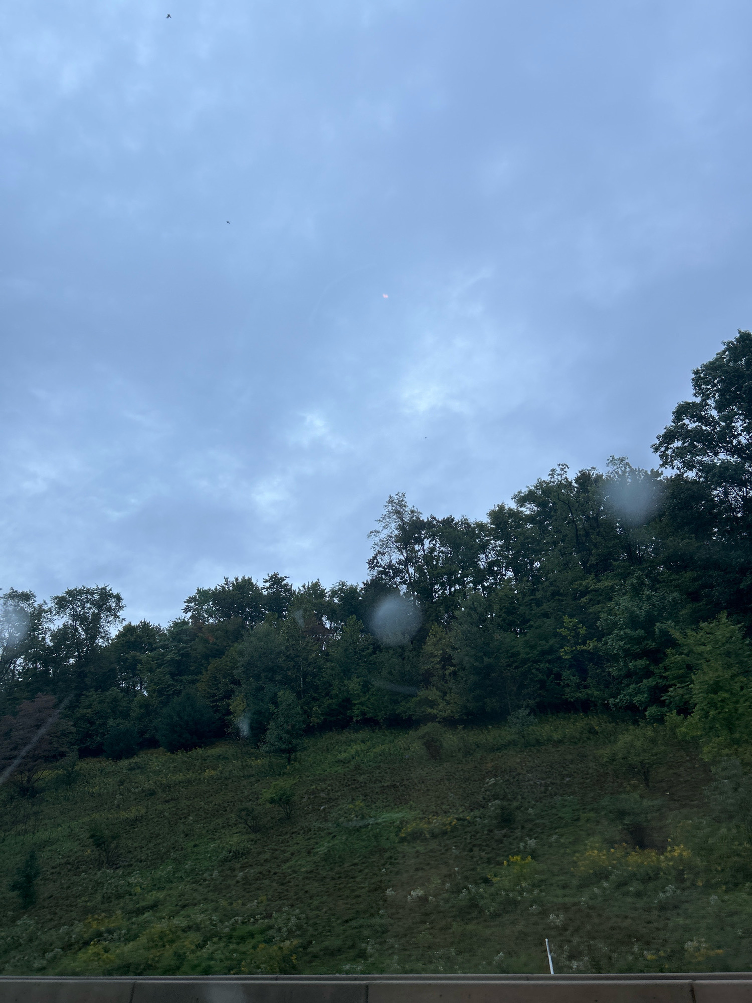 The image captures a landscape scene likely taken from a vehicle, evidenced by the rain droplets on the window in the foreground. The sky is overcast with a muted, blue-gray hue. Two small dark shapes, possibly birds, are visible in the upper left quadrant of the sky. A faint, reddish circular light anomaly is present in the upper center of the sky. Below the sky, a dense line of dark green trees forms the crest of a hill, with some interspersed lighter green foliage. The hill slopes downwards, covered in a mix of green grasses and patches of yellow wildflowers. A concrete barrier runs horizontally across the bottom of the image, suggesting the viewpoint is from a road. The overall scene is one of natural scenery under a cloudy sky, possibly during or after rain. The location is identified as Robinson Township, United States of America.