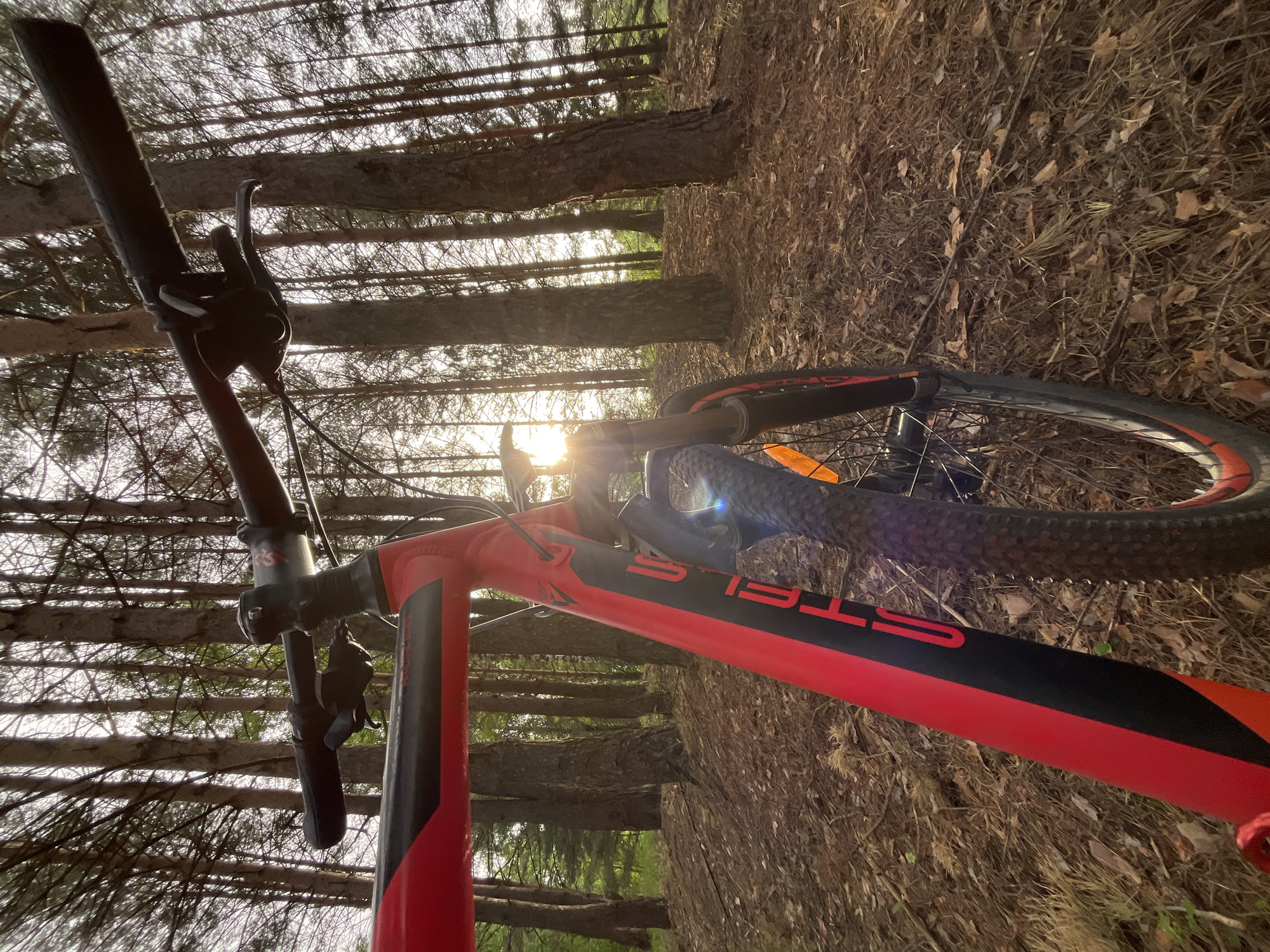 The image shows a red and black Stels mountain bike lying on its side in a forest. The handlebars and front wheel are oriented toward the center of the frame, where the sun is shining through the trees. The ground is covered with pine needles and fallen leaves. The location is likely a forested area near Chaikovsky, Russia, based on the vegetation type. No people are visible. The primary action is the bike being placed on the ground. There are no observable interactions.