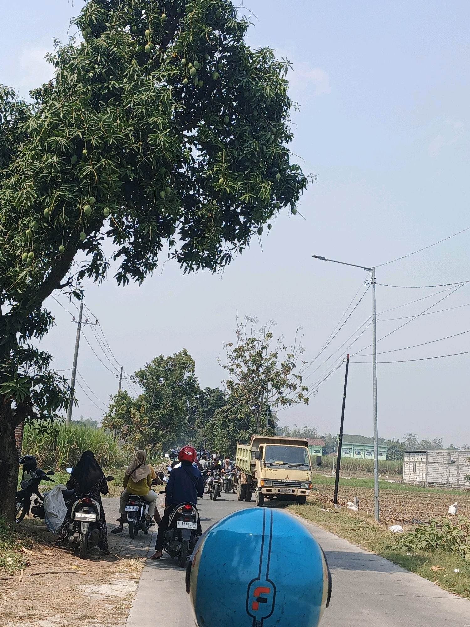 The image captures a street scene in Medali, Indonesia, under a clear, bright sky. The foreground features a blue helmet, suggesting the perspective of someone on a motorcycle. The road is paved and appears to be a two-lane street.
On the left side of the road, a large mango tree is laden with green mangoes. Beneath the tree, several people on motorcycles are parked or moving slowly. One person wears a black hijab, another a light brown hijab, and a third person is seen from behind, wearing a dark jacket and a red helmet. The motorcycles are various models, some with bags attached.
Further down the road, a yellow dump truck is visible, its brand name "MITSUBISHI" discernible. The truck is on the right side of the road. The surrounding environment includes fields with crops, some of which appear to be harvested. Several buildings, including a green-roofed structure that resembles a school or institutional building and a white brick structure, are visible in the background. Utility poles with electrical wires crisscross the scene, typical of Indonesian infrastructure. The overall atmosphere suggests a typical day in a rural or semi-urban Indonesian setting, possibly during the daytime given the brightness and the presence of traffic.