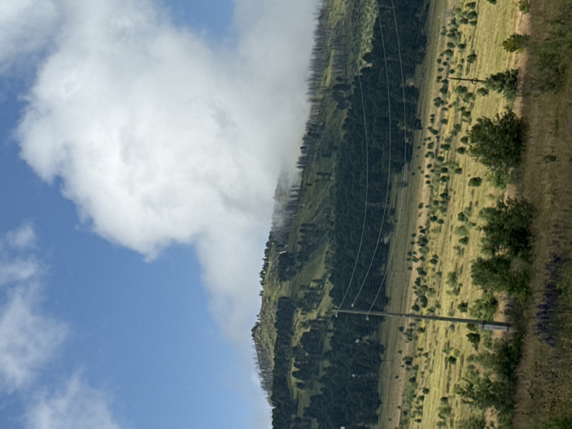 The image depicts a mountainous landscape in T/B Seminskii Pereval, Russia. The foreground features a grassy field with scattered trees and a wooden utility pole with electrical wires. In the midground, a dense forest of dark green trees covers the lower slopes of a hill. The upper slopes of the hill are covered in sparse vegetation, with many bare, blackened tree trunks indicating past fire damage. The top of the hill is shrouded in white clouds and mist, partially obscuring the blue sky. The overall scene is natural and undeveloped, suggesting a remote or rural location. There are no people or animals visible in the image.