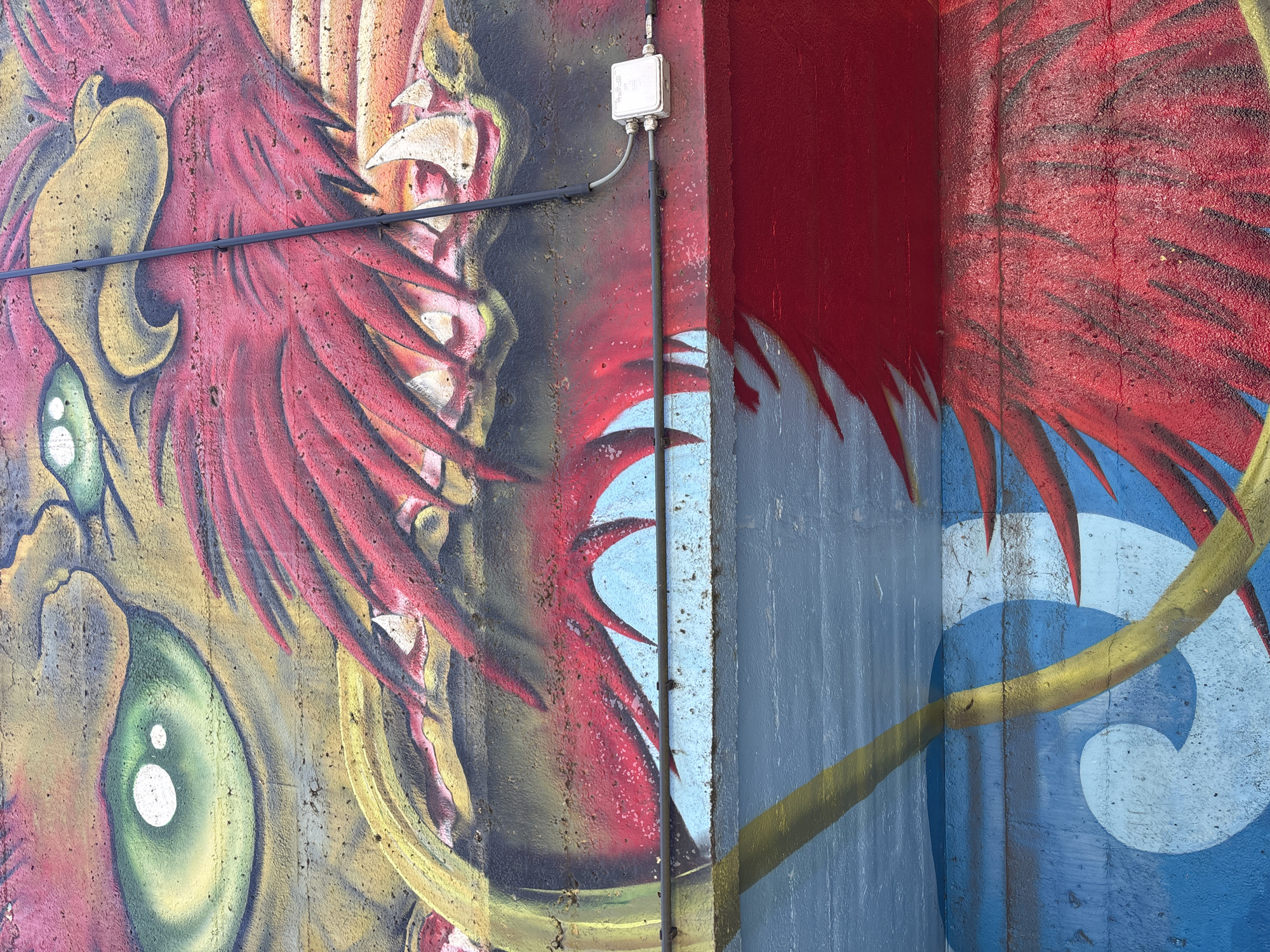 This is a photograph of a colorful mural painted on a concrete wall in Brussels, Belgium. The mural depicts a stylized dragon's head, with vibrant red, yellow, and green paint. The dragon's eye is large and green, with white pupils. Sharp, white teeth are visible in its open mouth. A black electrical conduit runs vertically and horizontally across the mural, with a small gray junction box attached to it. The wall itself is textured, and the paint shows signs of wear and tear. Below the dragon, the mural transitions to abstract blue and yellow patterns, with more red elements of what appears to be the dragon's mane or scales. The image is taken from a low angle, looking upwards at the wall.