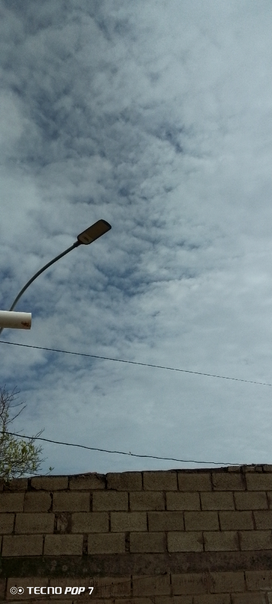 A street lamp with a curved arm is silhouetted against a cloudy sky. The lamp is dark and elongated with a translucent amber lens. Below the lamp, a dark electrical wire stretches horizontally across the frame. Further down, a wall constructed of tan-colored bricks is visible, with some mortar visible between the bricks. A thin, dark wire runs across the top of the brick wall. To the left of the wall, a sparse tree with bare branches and some green leaves is visible. The bottom left corner of the image features a watermark that reads "TECNO POP 7". The scene is consistent with an outdoor environment in Altagracia, Venezuela, likely during the daytime with overcast conditions.