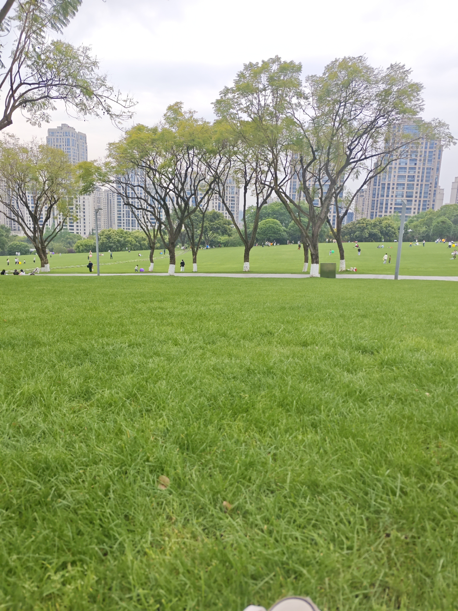 The image depicts a grassy park in Liangjiang, China, with several trees lining a walkway. The trees have light-colored bark, and some have foliage in the upper branches. Beyond the trees and walkway is a large open grassy area with several people scattered about, some sitting, some walking, and some appearing to be playing. In the background, tall buildings are visible against an overcast sky. The foreground is dominated by lush green grass. At the bottom of the image, a hint of a shoe is visible.