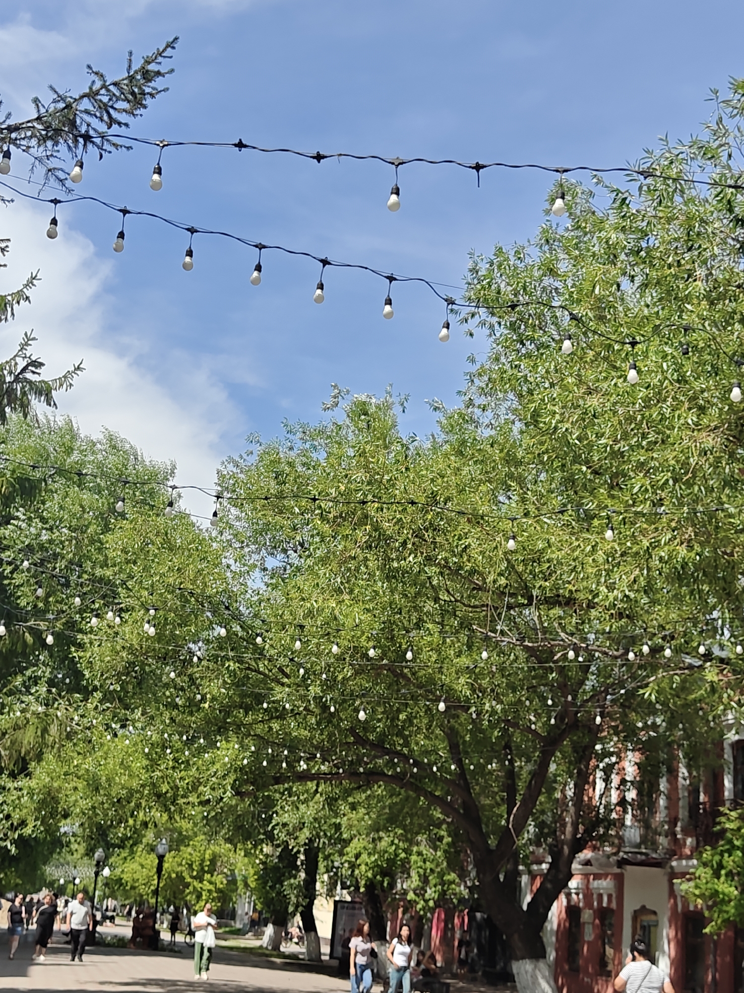 The image depicts a street scene in Petropavl, Kazakhstan, on a bright, sunny day with a clear blue sky dotted with white clouds. String lights with white bulbs are strung across the street, suspended between trees and possibly buildings. Lush green trees with dense foliage line the street, their branches extending upwards and partially obscuring the sky and lights.
In the foreground and midground, a paved walkway is visible, with several people walking and standing. The people are diverse in age and attire, suggesting a public space like a park, pedestrian zone, or street with shops and cafes. Some individuals are walking in groups, while others appear to be alone. The general atmosphere suggests a leisurely day, possibly a weekend or a holiday.
On the right side of the image, buildings with red facades and white architectural details are visible, hinting at the urban setting. The architecture suggests a historical or traditional style. The presence of trees, walkway, and buildings implies this is a developed area within the city.
The image captures a moment in time, showcasing the interplay of nature and urban infrastructure, decorated with festive string lights, under a clear sky. The scene is tranquil and inviting, suggesting a pleasant environment for pedestrians and possibly outdoor activities.