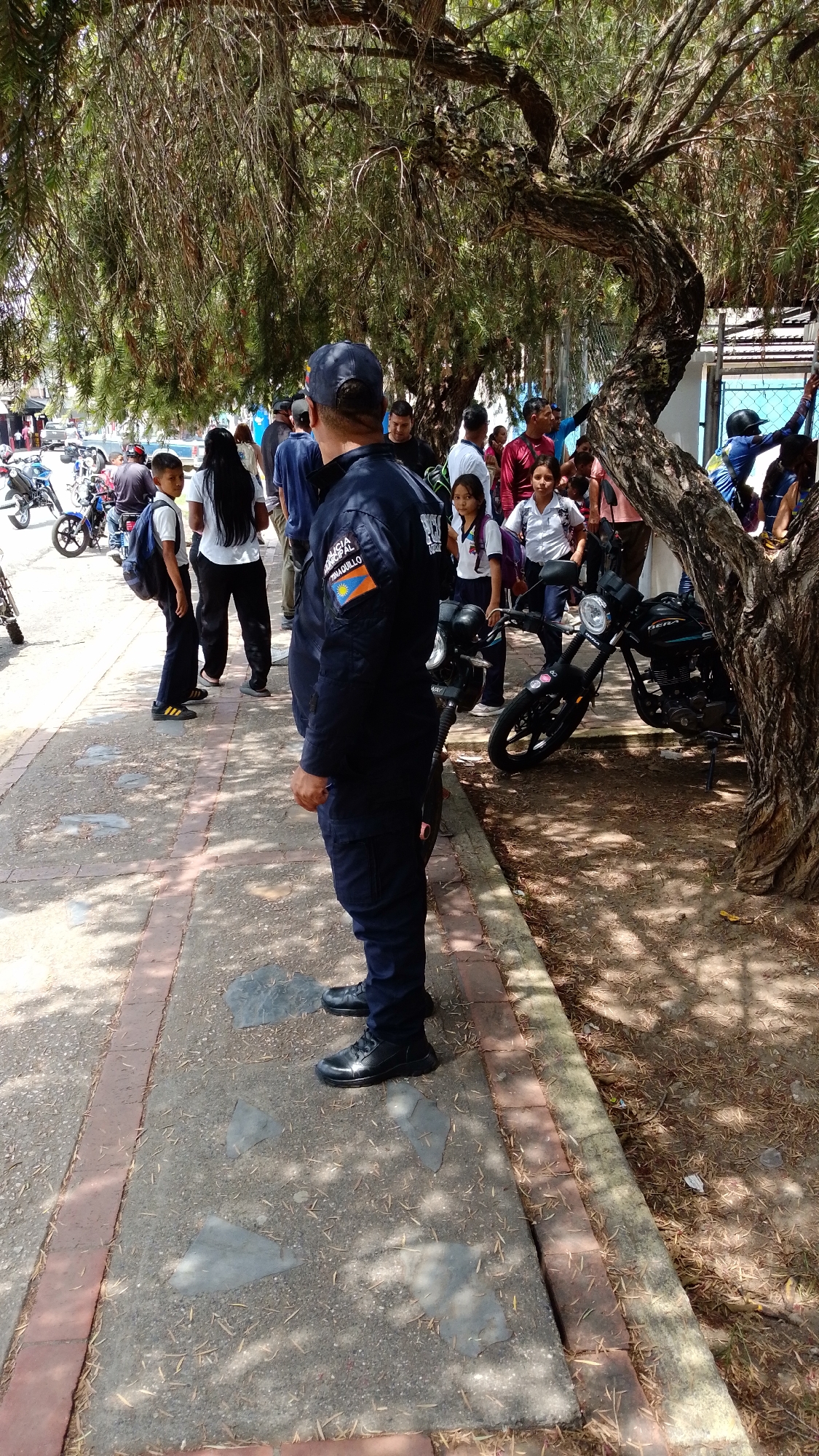 The image depicts an outdoor scene in Tinaquillo, Venezuela, under bright daylight. In the foreground, a man in a dark blue uniform, likely a police officer, stands with his back largely to the camera, facing a group of people. A patch on his right sleeve clearly reads "POLICIA MUNICIPAL TINAQUILLO" with a flag emblem, confirming the location and his role. He is positioned on a concrete sidewalk bordered by bricks, which shows patches of irregular paving and scattered debris.
A large, old tree with a gnarled trunk and long, drooping green leaves provides significant shade over much of the area. Beneath its branches and further in the background, numerous individuals are gathered. These include several children, some dressed in school uniforms with backpacks, suggesting they are students. Adults and other people in casual clothing are also visible, mingling or passing by.
To the right, on the dirt ground next to the sidewalk, at least two motorcycles are parked. The sunlight casts distinct shadows, indicating a sunny day, typical of Venezuela's climate. The scene appears to be a public space, possibly a street or an area near a school, with people either congregating or moving through. The overall atmosphere seems calm and ordinary for a daytime public setting.