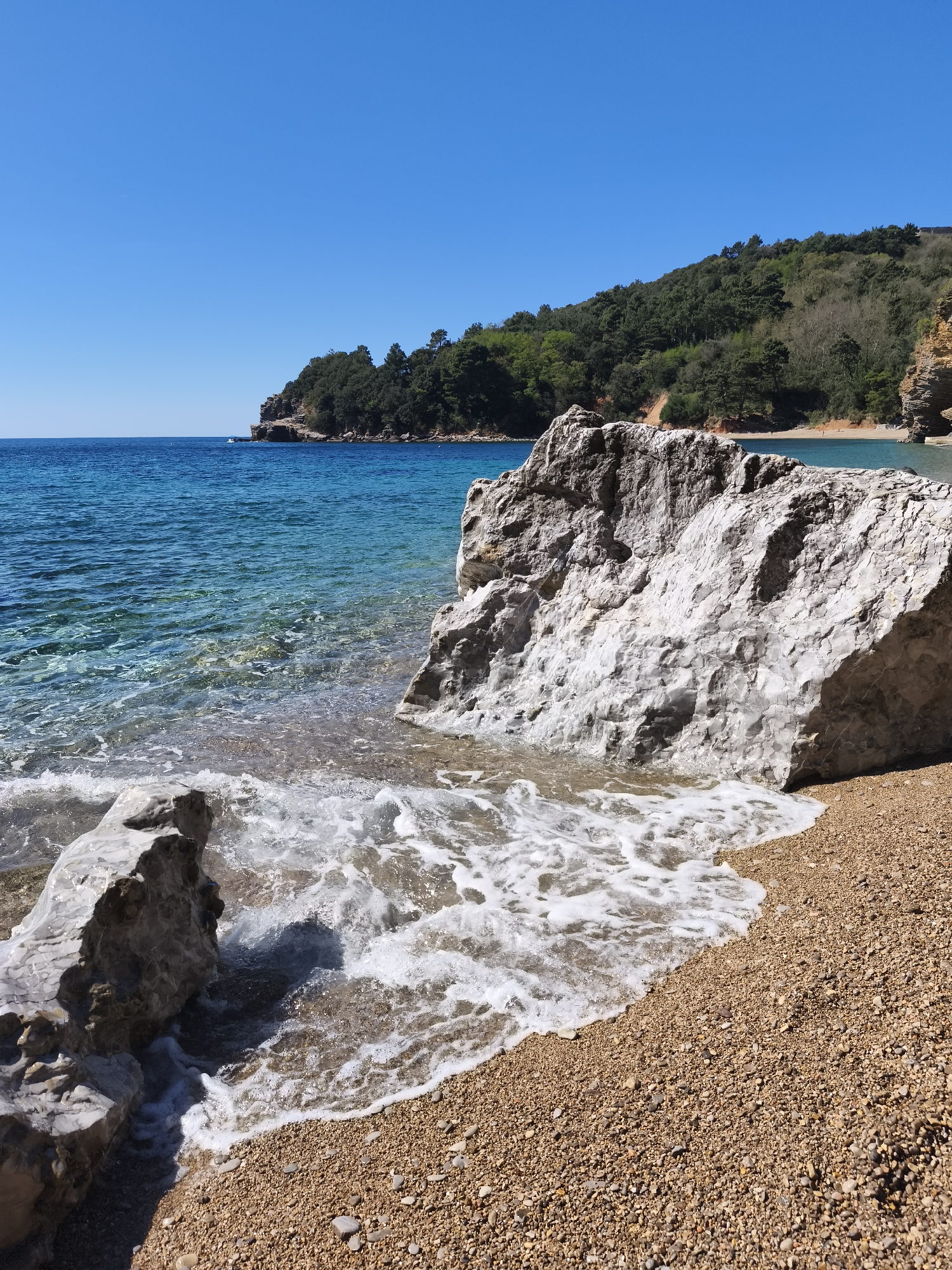 This image shows a pebble beach in Budva, Montenegro on a sunny day. The water is clear and turquoise. In the foreground, there are two large, light-colored rocks. One is partially submerged in the water, with waves washing around it. The beach is made of small pebbles. In the background, there is a green, tree-covered cliff with a small sandy beach at its base. The sky is a clear blue. There are no people visible in the frame. A small boat can be seen in the distance.