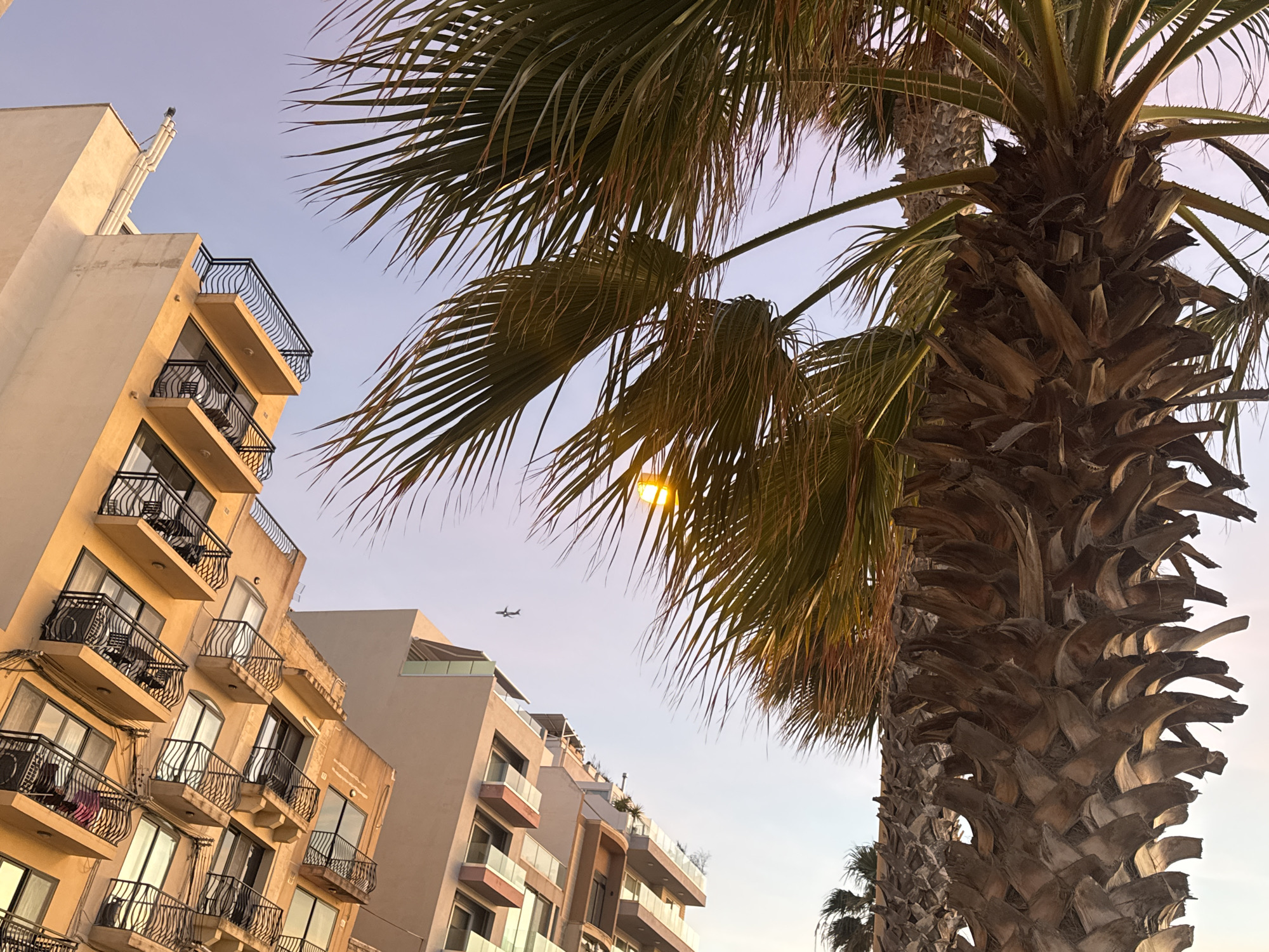The image shows a view upwards towards apartment buildings and palm trees in Unknown, Unknown. The buildings are multi-story with balconies. A plane is visible in the sky between the buildings and palm tree fronds. The sky is a gradient of light pink and blue. The palm trees are in the foreground and on the right side of the frame. The lighting appears to be from a streetlamp behind the palm leaves, causing a glow.