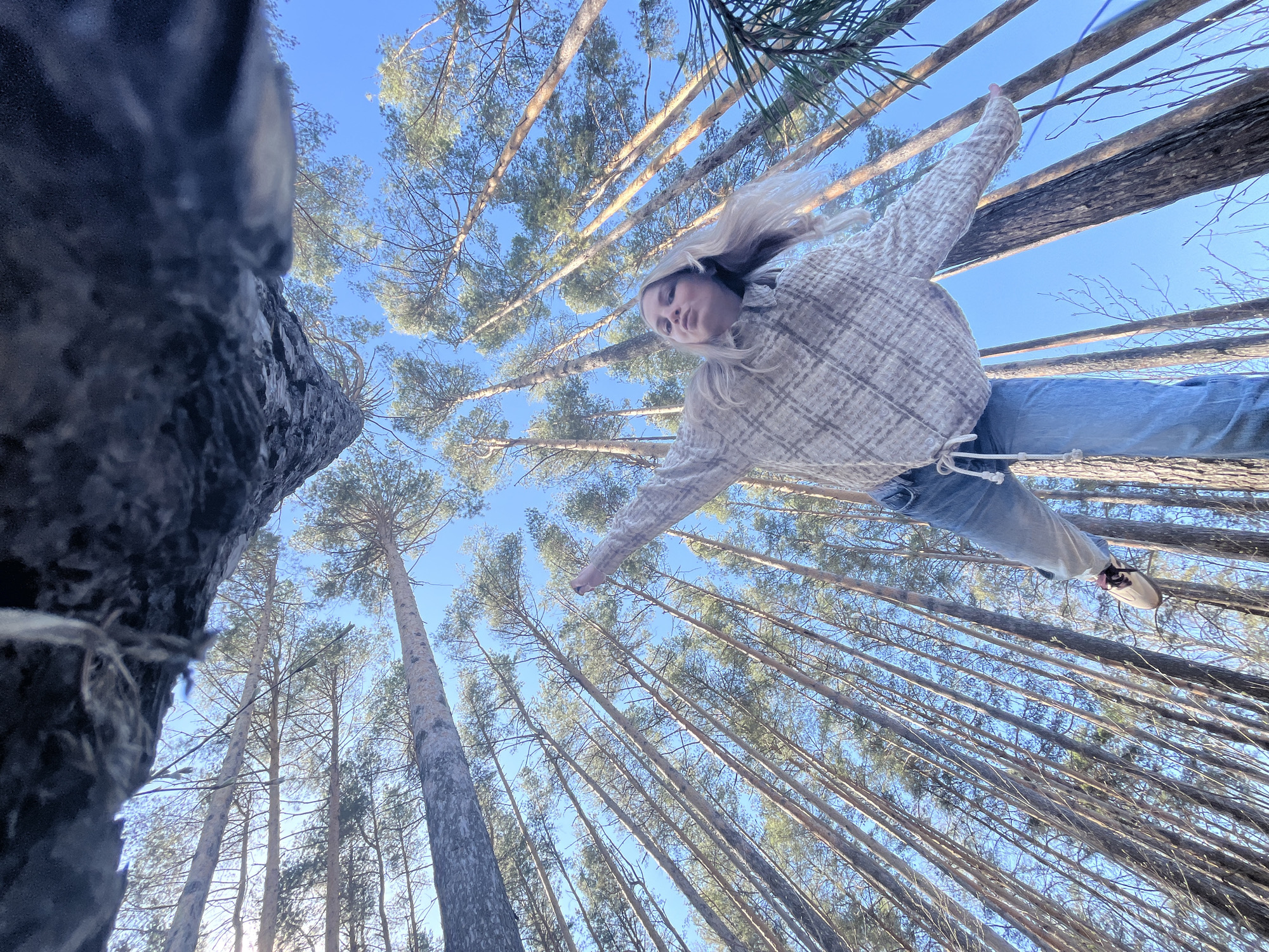 The image depicts a low-angle shot of a woman in a forest, likely in Chaikovsky, Russia. The woman is wearing a plaid shirt and jeans, with her arms outstretched. She is positioned against a backdrop of tall pine trees reaching towards a clear blue sky. The viewpoint is directly below her, creating a perspective where she appears to be suspended in the air. A large tree trunk is visible in the left foreground.