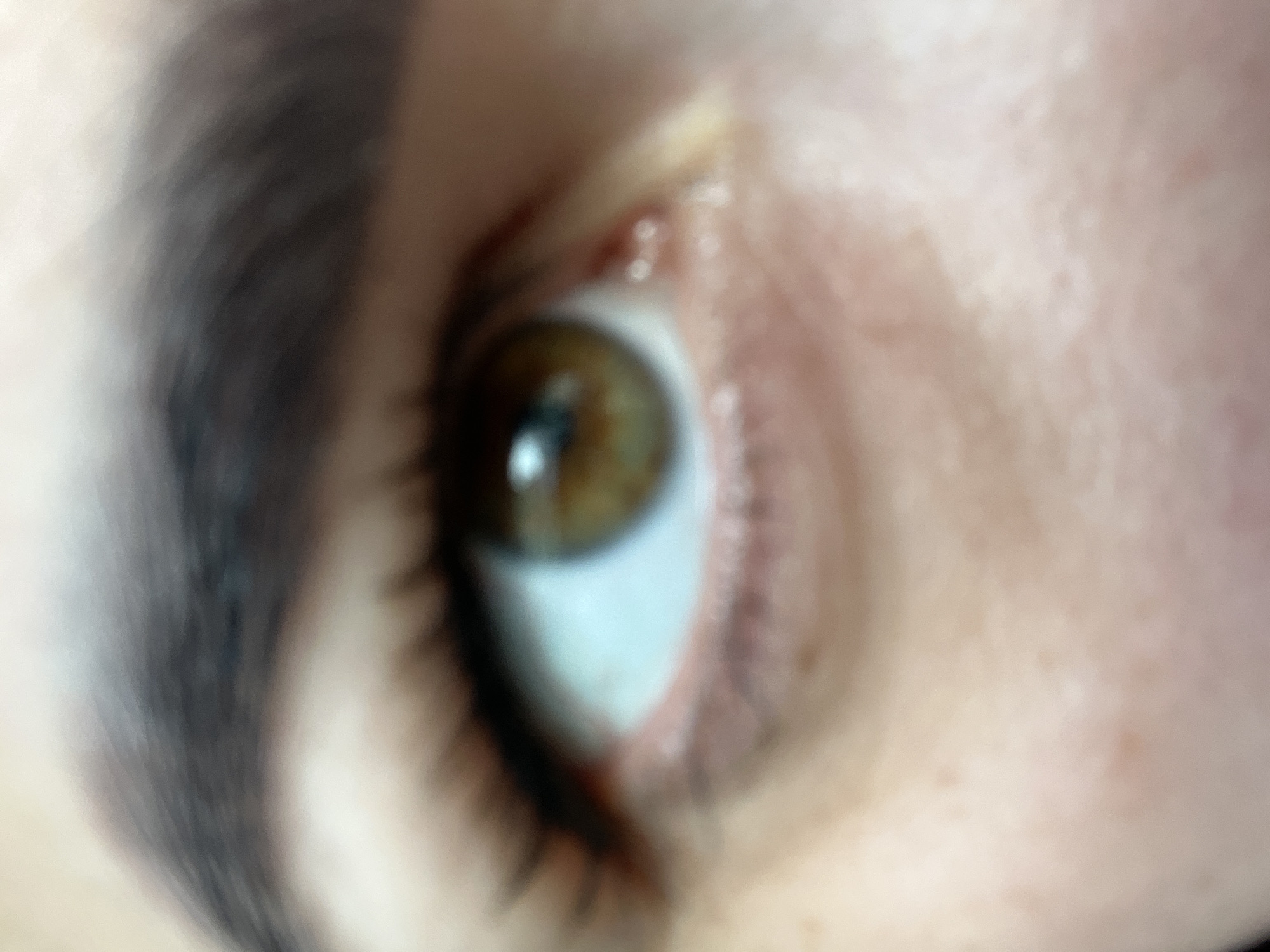 An extreme close-up of a human eye, specifically the right eye, is presented with the surrounding eyebrow and facial skin also visible. The eye has a hazel iris with a distinct reflection. Eyelashes frame the lower eyelid. The eyebrow is thick and dark. The skin appears fair. The photograph is out of focus. The location is unknown.