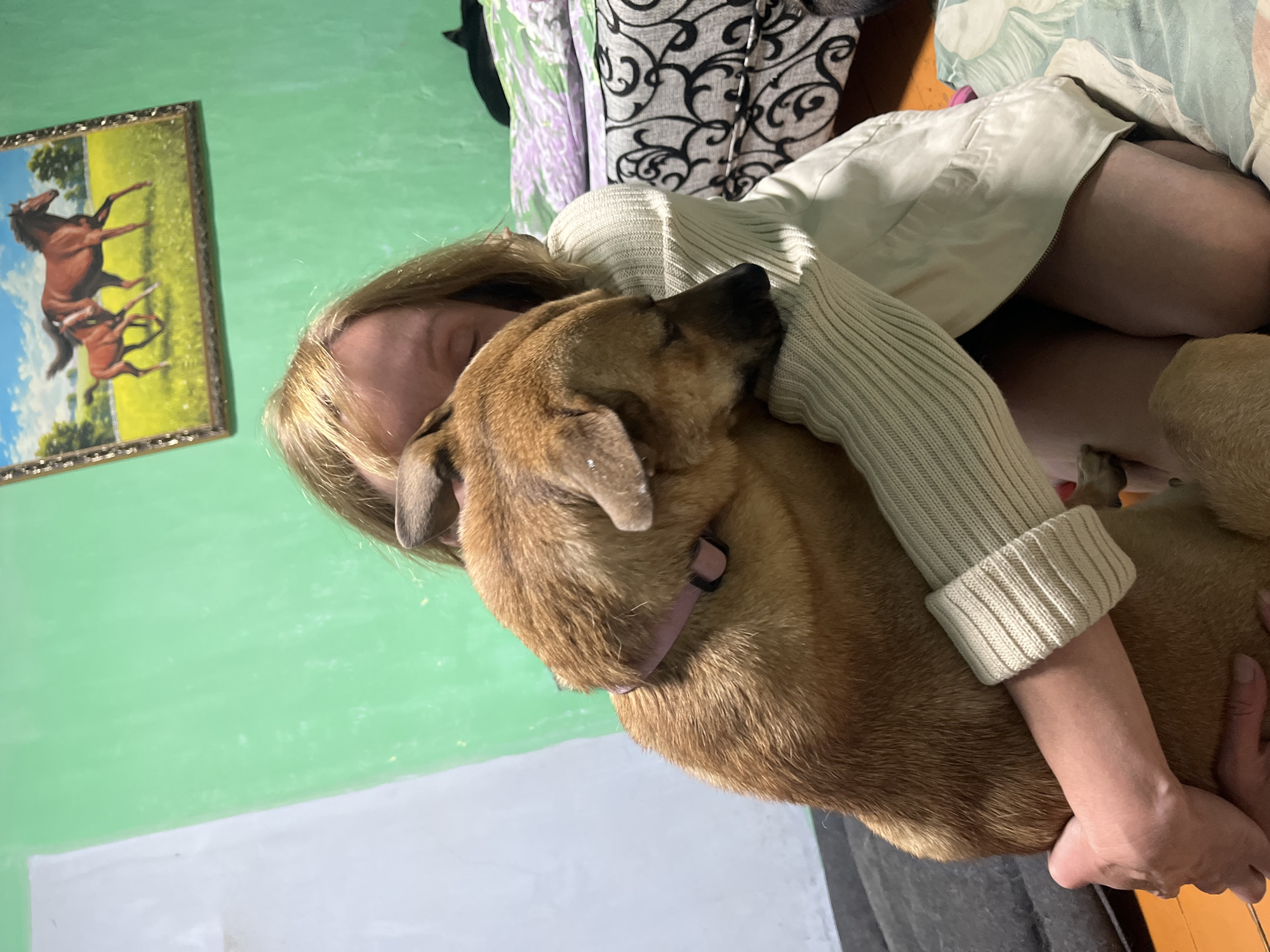 In a room with green walls, a person with blonde hair is embracing a brown dog. The person is wearing a cream-colored sweater and a cream-colored jacket. The dog is wearing a pink collar. A painting of two horses is hanging on the wall behind them. The room also contains a bed with patterned bedding. The image appears to be taken indoors. There is no information in the image to suggest it is located in Nizhny Tagil, Russia.