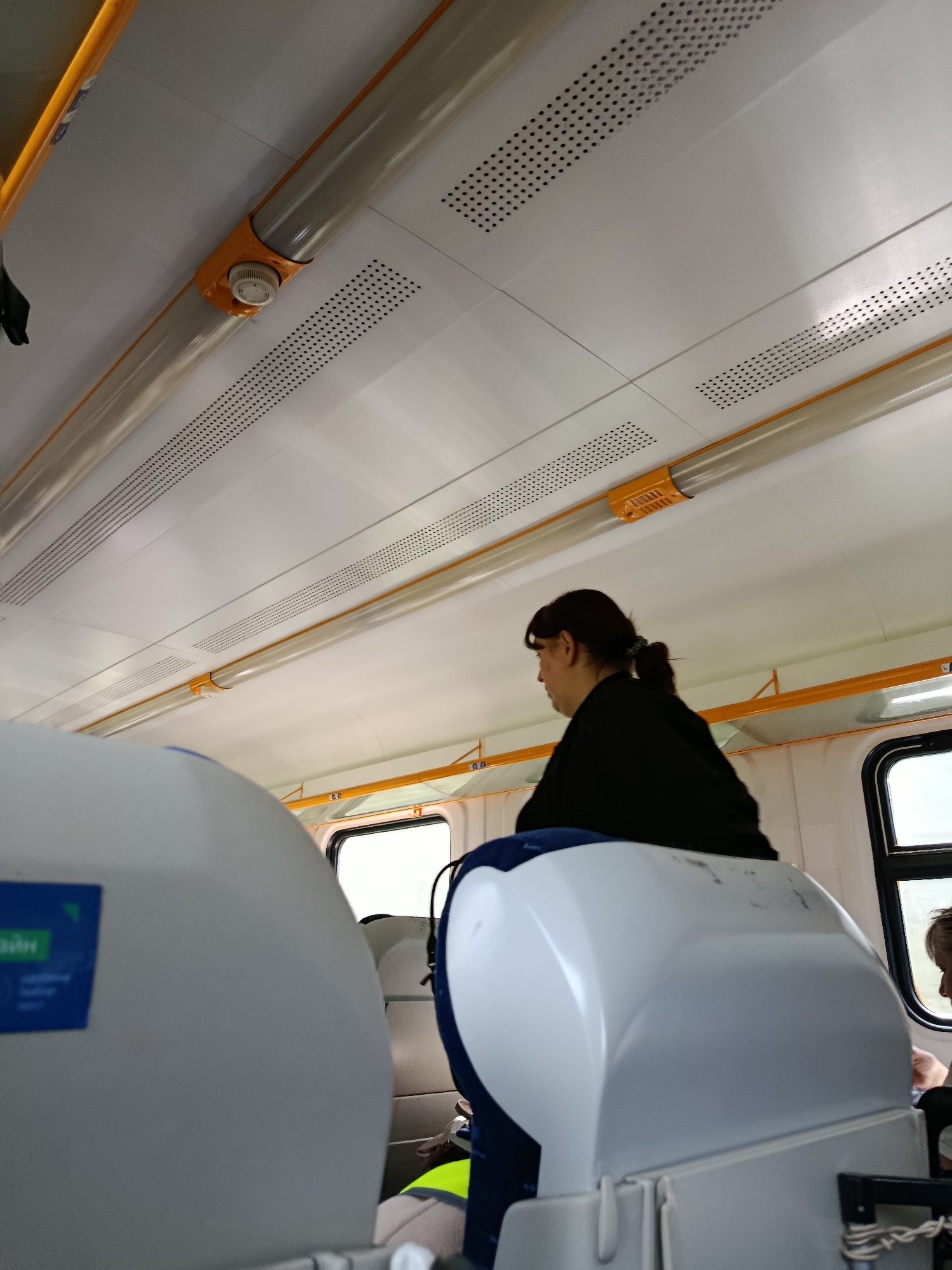 The image shows the interior of a train car. The ceiling is white with yellow accents and ventilation grates. A woman with dark hair pulled back in a ponytail is seated, facing away from the camera. She is wearing a black top. In the foreground, there are white seat backs with blue labels. The environment appears to be a public transportation setting. The location of Дружба Снт (елизаветино), Russia is not visible in the image.