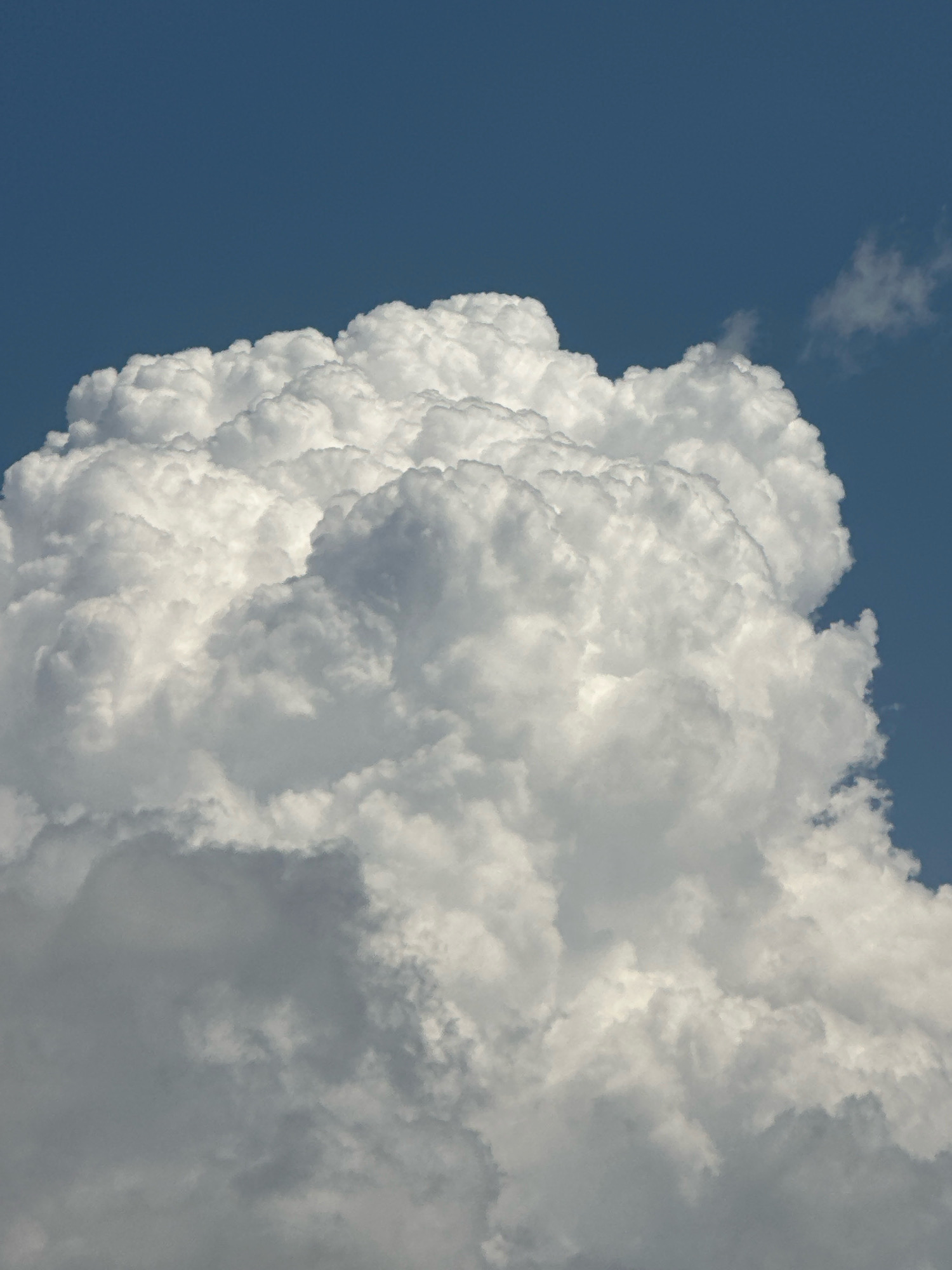 The image shows a close-up of a large, fluffy white cumulus cloud against a clear, deep blue sky. The cloud fills most of the frame, with intricate details of its texture and form visible. The lighting suggests it is daytime, with sunlight illuminating the upper portions of the cloud, creating bright highlights and soft shadows within its mass. A very small, wispy cloud is visible in the upper right corner. There are no people, animals, buildings, or any other objects or elements present in the image besides the clouds and the sky. The scene is entirely natural and abstract, focusing solely on the atmospheric phenomenon. No specific location within Budva, Montenegro, can be identified from this image, as it is a generic depiction of a cloud formation.