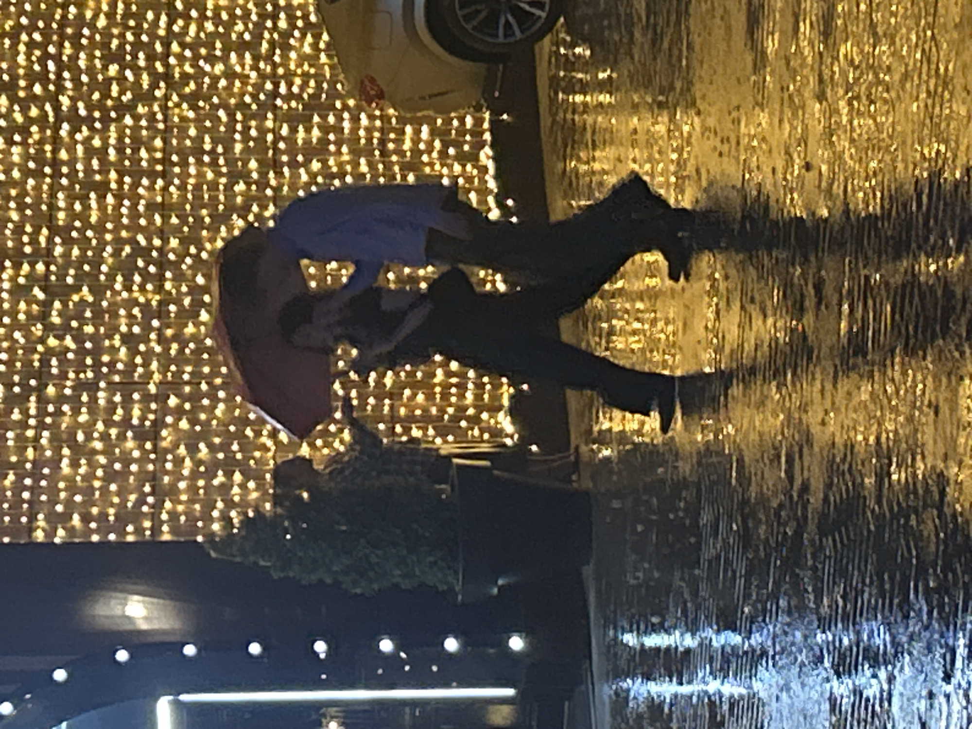 A rotated long shot captures a person under a red umbrella, offering it to another individual in a blue shirt, with their reflections visible in a watery foreground. The backdrop is adorned with a wall of small, bright lights, while the bottom portion of the frame reveals additional lights, shrubbery, and building elements. A white car is partially visible in the upper portion of the scene. The location is the city of Unknown, Unknown.