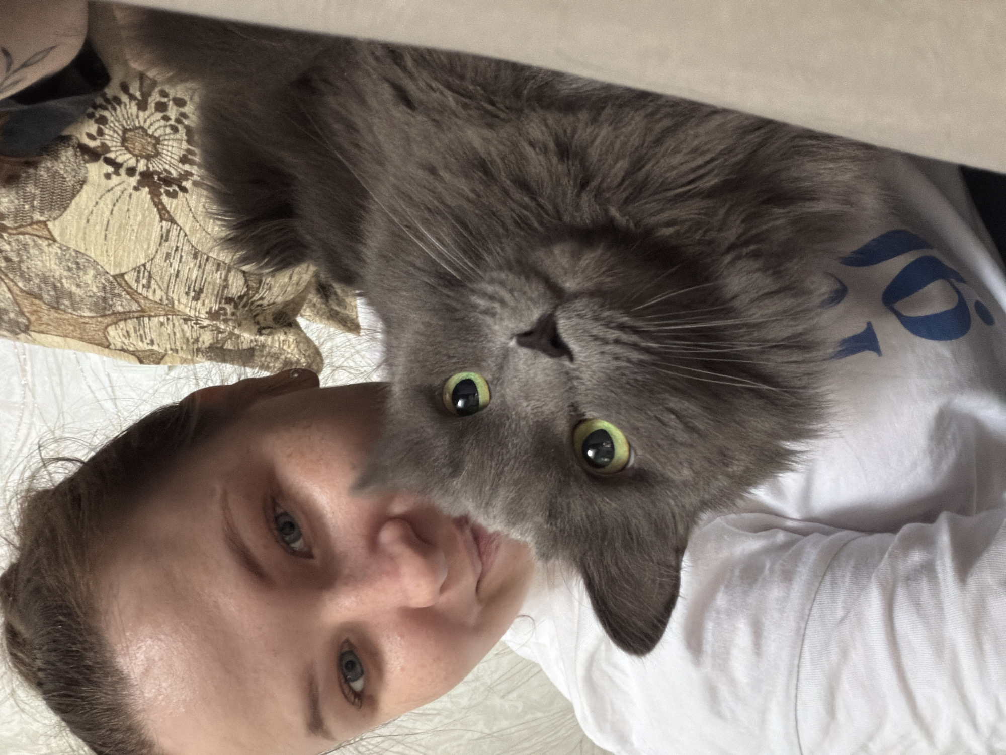 This indoor image, captured in Chaikovsky, Russia, features a close-up view of a person and a domestic cat. The perspective suggests a selfie or a photo taken from above, with the subjects appearing inverted in the frame.
The main subjects are a young adult female and a grey, long-haired cat. The female has fair skin, light-colored eyes (blue/grey), and light brown hair. She lies down with a calm, neutral expression. A subtle, dark-colored tattoo with a leaf-like design is partially visible on her left shoulder or upper arm. She is wearing a white t-shirt, and a blue graphic resembling "10" is visible on it, partially obscured by the cat's fur.
The cat is prominently featured in the foreground, with its head positioned close to the camera. It has striking, bright green eyes with dark, vertical pupils, and its gaze is directed towards the viewer, conveying curiosity.
The setting appears to be a comfortable indoor space, possibly a bed or a couch. On the left side of the image, behind the person's head and shoulder, a beige-toned fabric with a brown floral pattern is visible. The soft lighting suggests an indoor environment, without strong shadows. The overall image depicts a casual and affectionate moment between the pet and its owner.