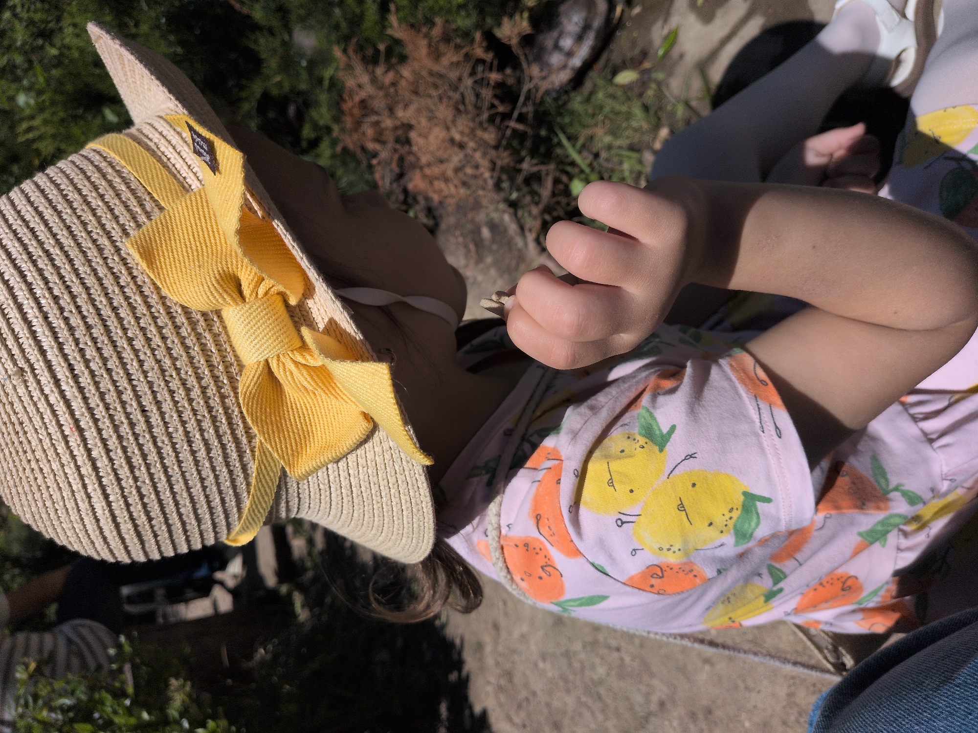 An overhead, angled shot captures a young child, likely a girl, sitting or kneeling outdoors in Sochi, Russia, during bright daylight. The child is viewed from above, with her back slightly turned to the camera, intently focused on a small object held in her hands.
She wears a light beige straw hat adorned with a prominent yellow woven ribbon tied into a bow on the side. A small black tag with white text, partially visible as "NW," is attached to the ribbon. Her attire includes a light pink long-sleeved shirt or dress featuring a cheerful pattern of yellow lemons and orange-colored fruits (possibly tangerines or oranges) with green leaves. She also wears white tights and white ballet-style shoes. A curl of brown hair is visible beneath her hat.
In her left hand, the child holds a small, light-colored object resembling a twig or a piece of dried wood, suggesting engaged play or examination. The scene is set outdoors in what appears to be a garden or backyard, with vibrant green foliage, some dry brown plants, and a paved or concrete surface visible on the ground. Strong sunlight casts distinct shadows, indicating a sunny day. The child's posture and focus convey a sense of curiosity and engagement with her immediate surroundings.