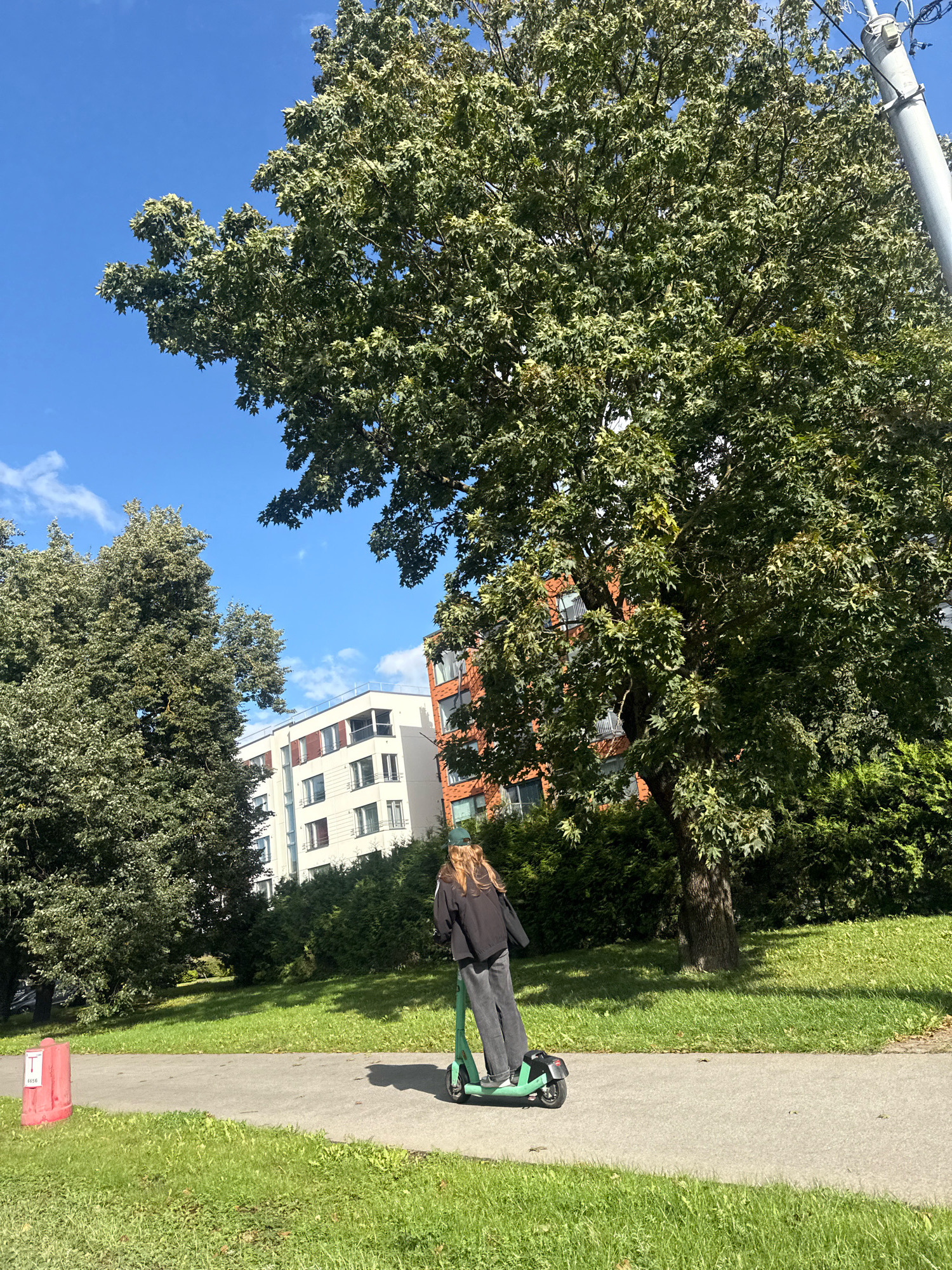 In Tallinn, Estonia, on a paved pathway bordered by green grass, a young person with long blonde hair rides a green electric scooter. They are dressed in a black hoodie and gray pants. To the left of the pathway, a bright red traffic cone stands out. Behind the pathway and scooter, a large deciduous tree with green foliage dominates the scene, casting a shadow on the grass. In the background, several modern apartment buildings with white and orange facades are visible amongst dense green bushes and trees. The sky is clear and blue with a few wispy clouds. A utility pole is partially visible on the far right of the image.