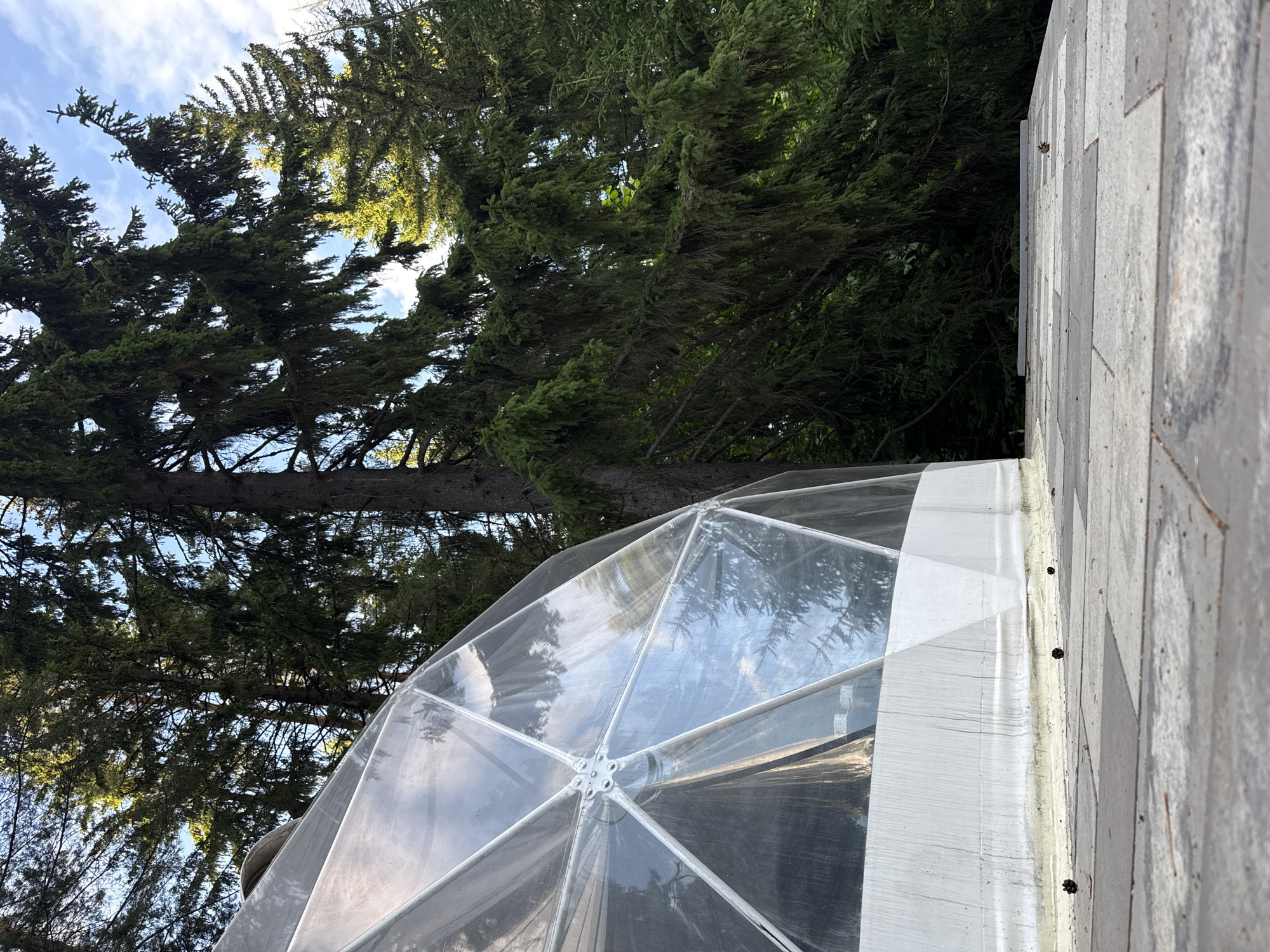 The image depicts a geodesic dome with a transparent cover, set amidst a dense forest of tall evergreen trees. The dome structure is visible in the foreground, partially obscuring the natural surroundings. The ground in front of the dome is paved with grey and dark grey rectangular stones, and a few pinecones are scattered on the surface. The sky is visible through the trees, with some clouds. The overall scene suggests an outdoor setting, possibly a garden or a recreational area, within a forested environment. There are no people or animals present in the image. The question of location in Makarovo, Russia, cannot be verified from the visual information alone.