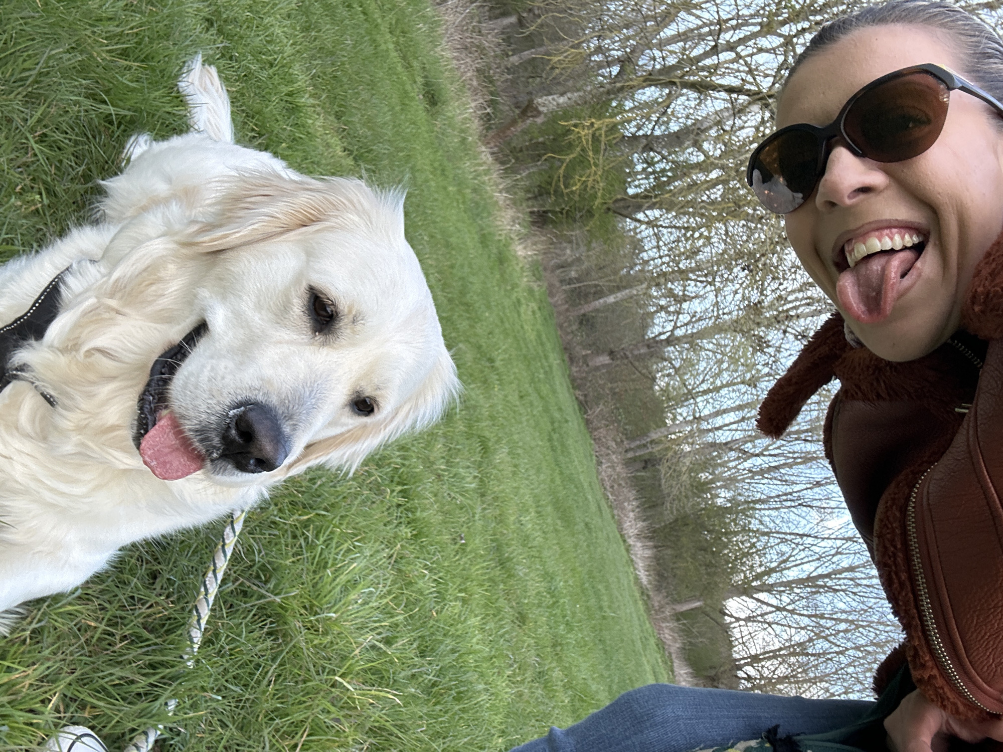 An individual is depicted upside down in the upper portion of the frame, wearing dark sunglasses, a brown textured jacket, and blue denim jeans. Their mouth is open with the tongue extended. Directly below, a cream-colored Golden Retriever dog sits on vibrant green grass, looking slightly to the right with its tongue partially visible. The dog wears a dark harness, and a braided white, green, and yellow leash rests on the grass next to it. A partially obscured white and black object is visible on the far right of the grass. The background features a line of leafless deciduous trees and a strip of drier ground under a light blue sky, indicating an open field or park. The scene takes place in an outdoor setting within the City of London, United Kingdom.