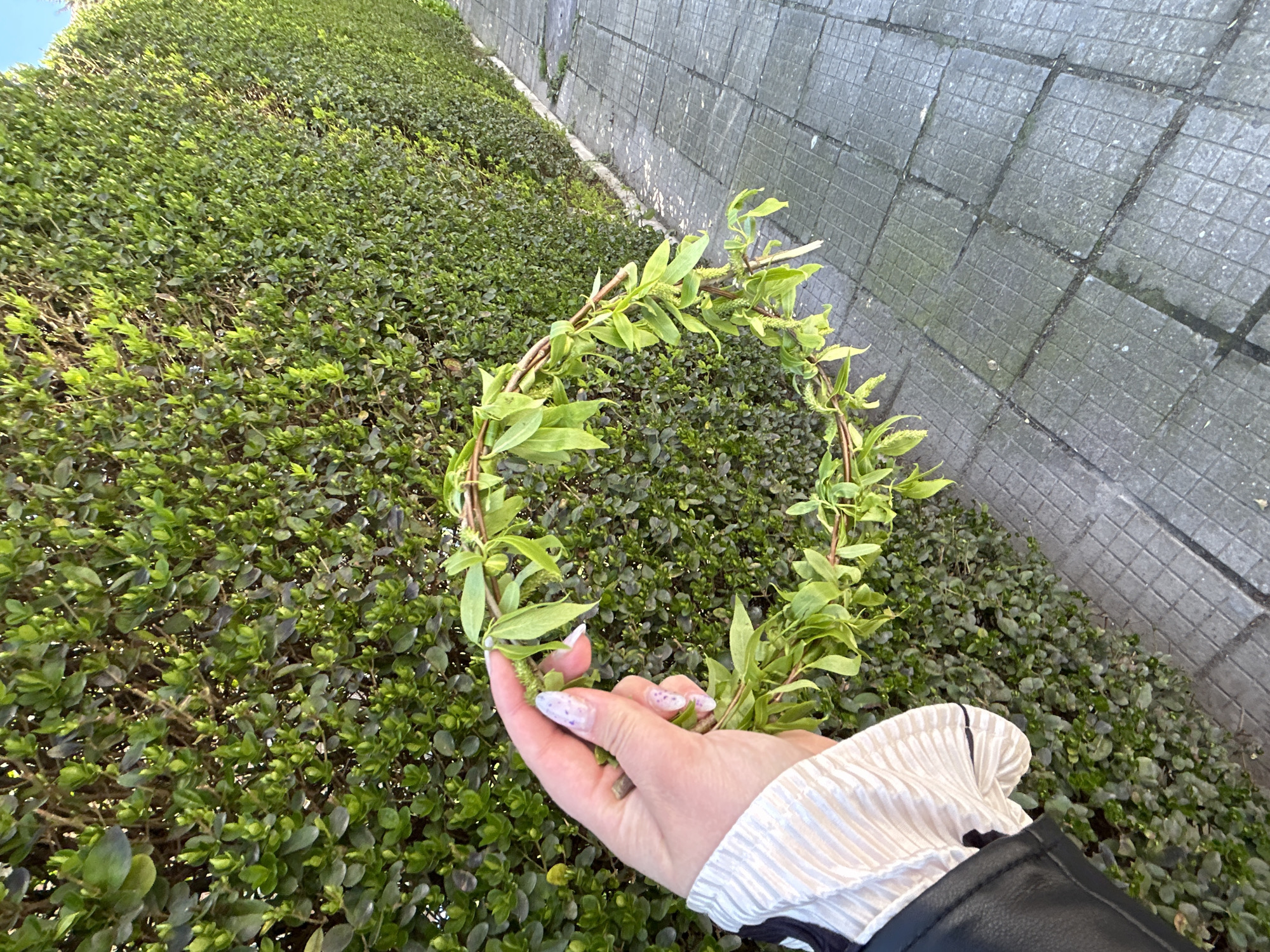 A person is holding a circular wreath made of green twigs and leaves in front of a dense green hedge that runs parallel to a gray paved walkway or wall. The individual's hand, adorned with long, light-colored fingernails with lavender designs, is visible. They are wearing a white and beige striped shirt with a ruffled cuff and a black leather jacket. The setting appears to be outdoors, possibly in a garden or park adjacent to an urban area with paved surfaces. There is no explicit indication of the location being in the city of Plovdiv, Bulgaria.