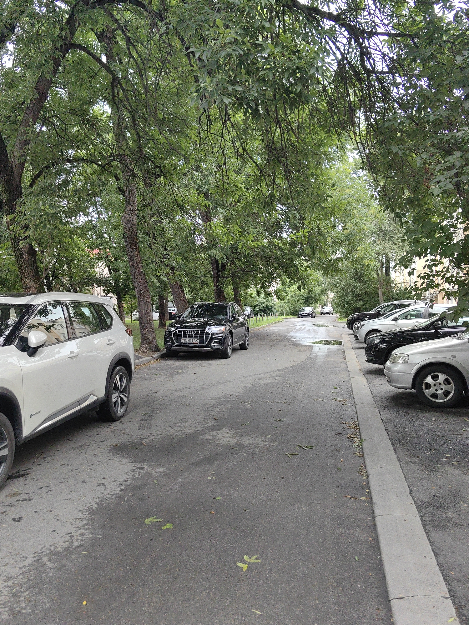 This image depicts a street scene in Minsk, Belarus, characterized by a row of parked cars on the right side of the asphalt road, bordered by a concrete curb. Mature trees with dense green foliage line the street, creating a canopy overhead and casting shadows on the wet pavement, suggesting recent rain.
In the foreground on the left, a white SUV is partially visible, facing away from the viewer. Further down the street on the right, a black Audi Q5 with license plate B229 IA-7 is parked, and another black Audi SUV is behind it. Beyond these, several other vehicles, including silver and black sedans and SUVs, are parked along the curb.
In the distance, the road curves slightly and is lined with more trees and buildings. The overall atmosphere is overcast, contributing to the subdued lighting and wet appearance of the road surface. No people are visible in the image.
