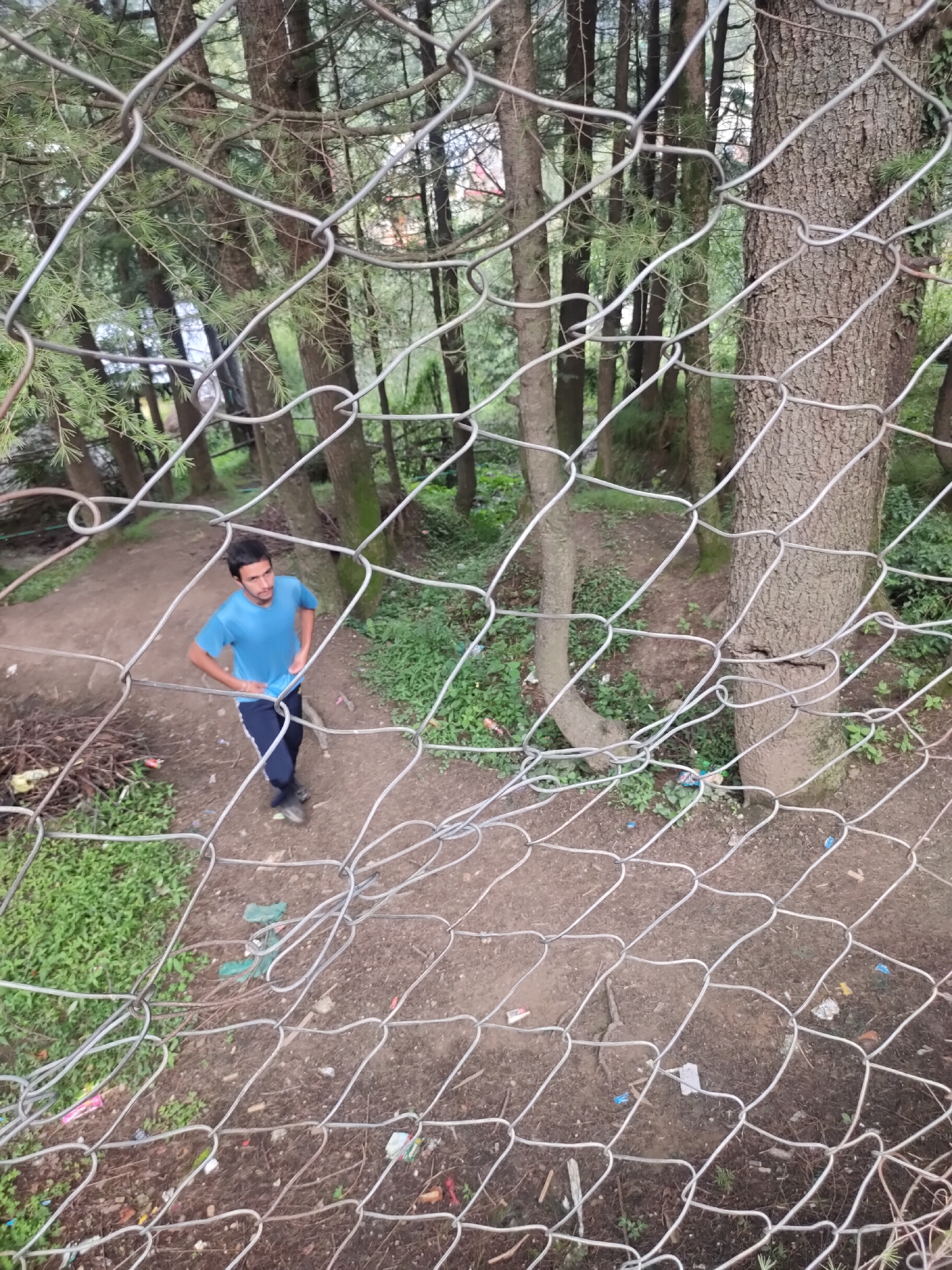 A young man in a blue t-shirt and dark pants stands on a dirt path in a wooded area, looking upwards. He is partially obscured by a chain-link fence in the foreground. The man appears to be walking or standing still. The environment is a forest with tall trees and undergrowth. There is some debris on the ground, including plastic bags and scattered trash, suggesting the location is Siyal, India, a place known for its natural beauty but also facing issues with litter in some areas. The lighting suggests it is daytime.
