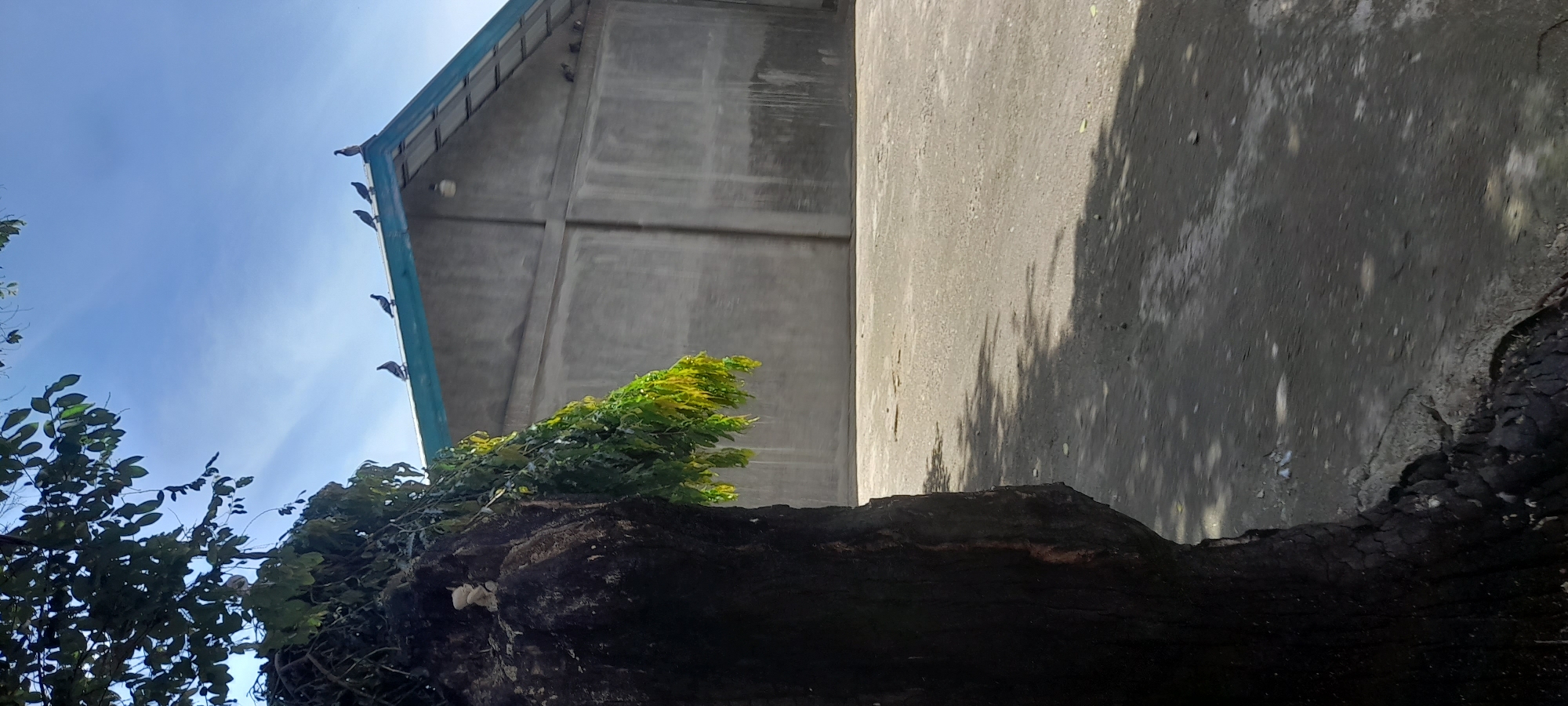 The image shows the exterior of a concrete building in an urban environment. The building's facade is plain, with a gabled roof partially visible against a blue sky with scattered clouds. Several birds are perched on the edge of the roof. In the foreground, a tree trunk, partly charred, is situated, along with some green foliage. The location is Unknown, Indonesia.